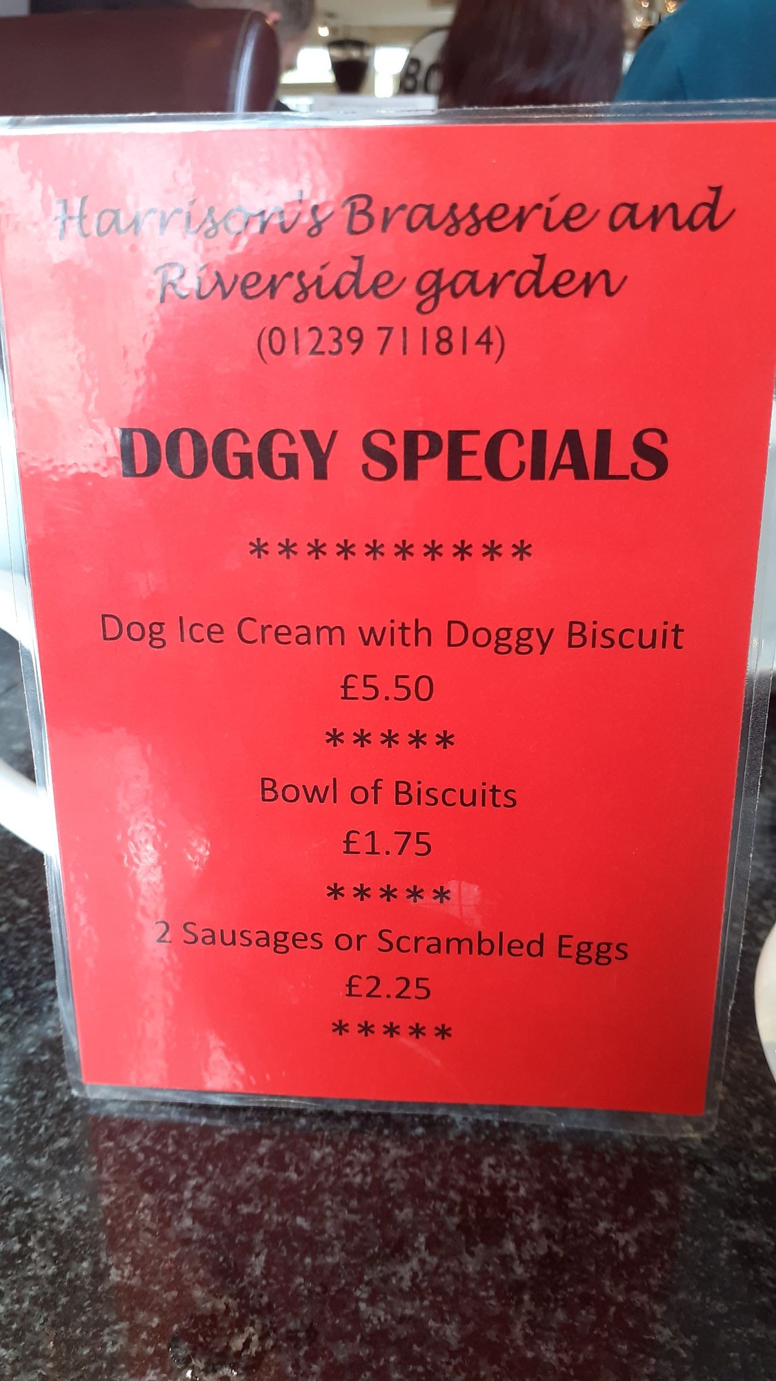 A laminated cafe menu card detailing a selection of treats available for dogs