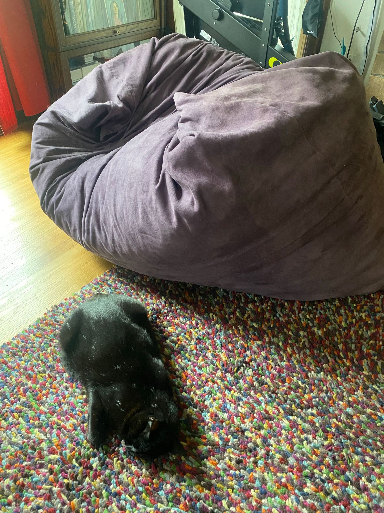 A dumb cat asleep on the floor right next to a giant, luxuriously soft pillow, with a cat-shaped impression in it. 