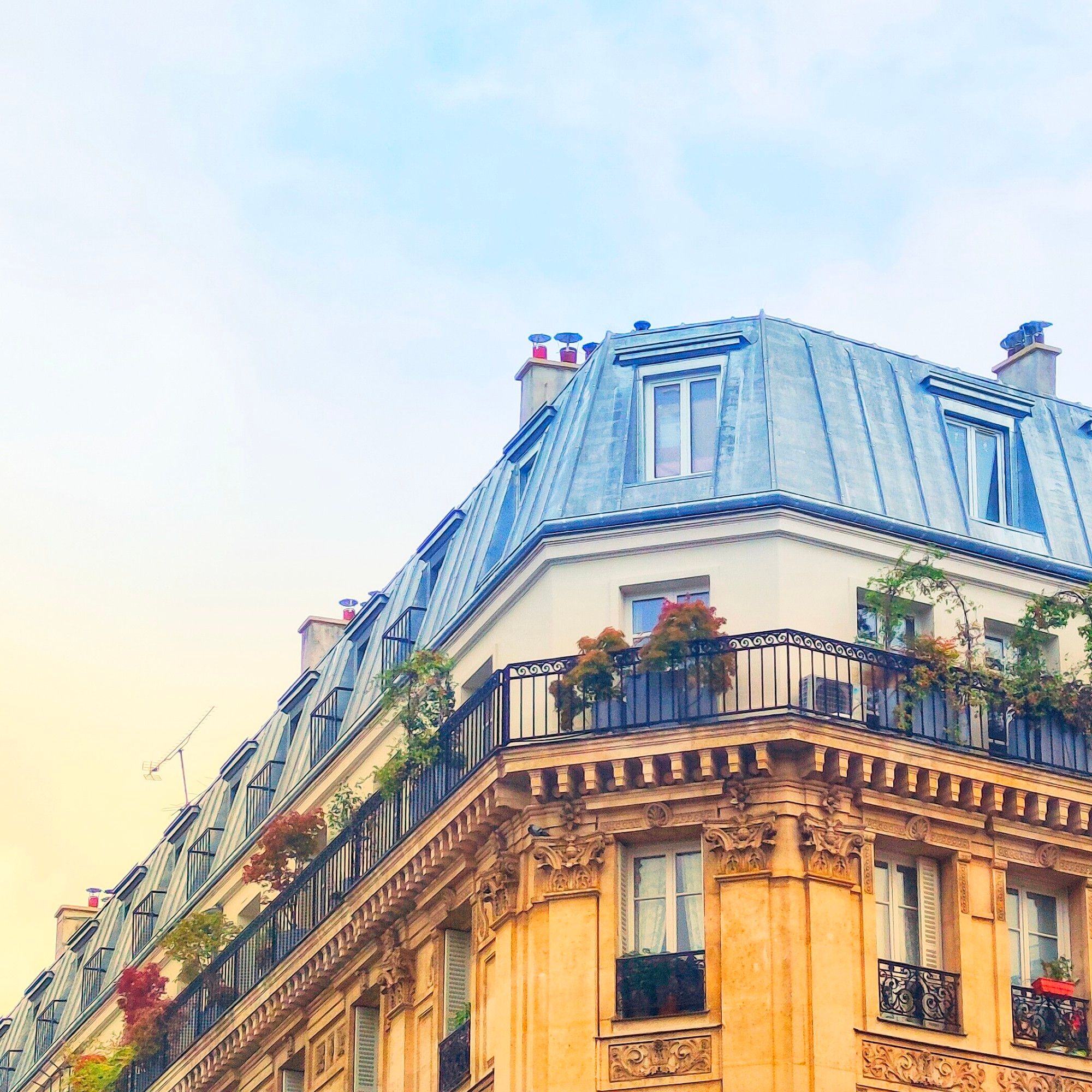 Dernier étage d'un appartement parisien