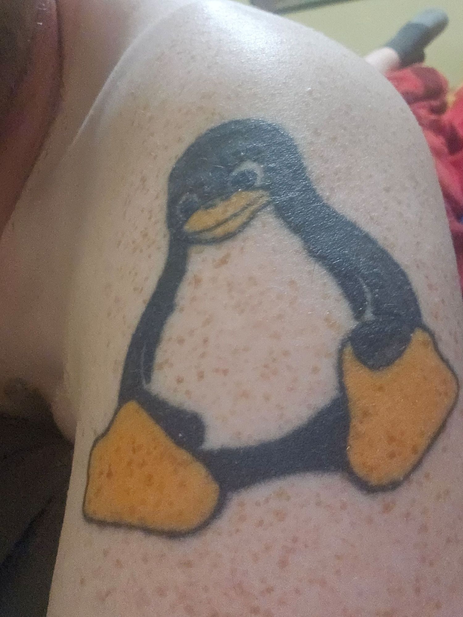 Tattoo of Tux the Linux penguin on my left bicept (maybe, idk much about anatomy).  Fair number of freckles on there too...