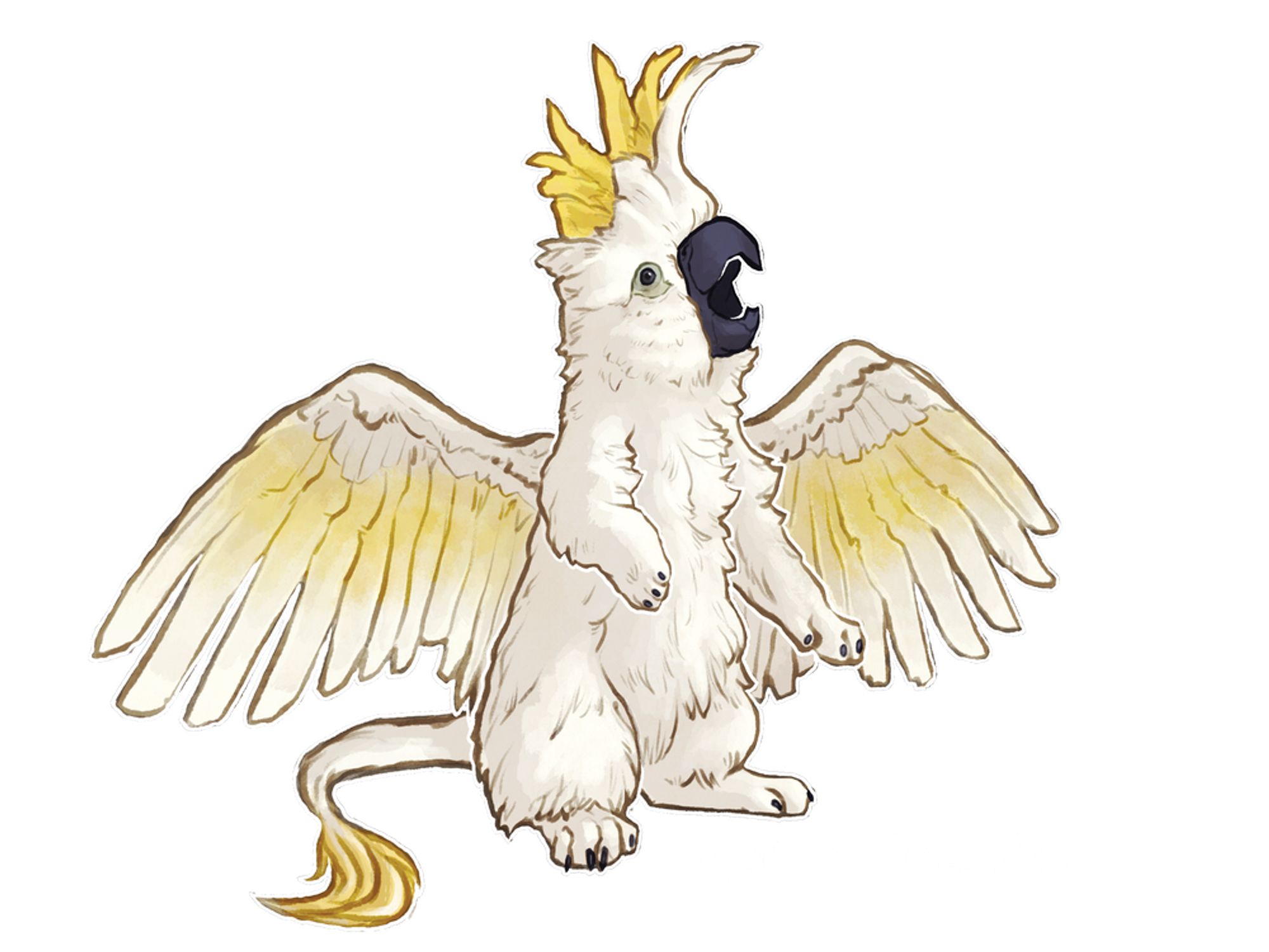 A white and yellow cockatoo gryphon, Toast, stands on his hind legs with his wings outspread. His belly is very soft and he looks extremely fluffy.