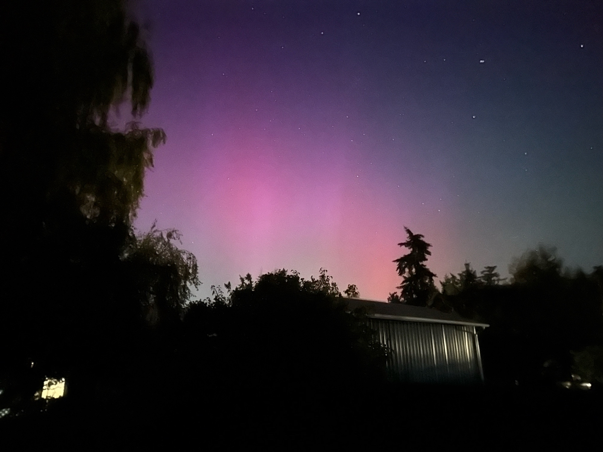 The auroras on October 10, 2024, looking Northeast from Coupeville, WA, Puget Sound (Whidbey Island).