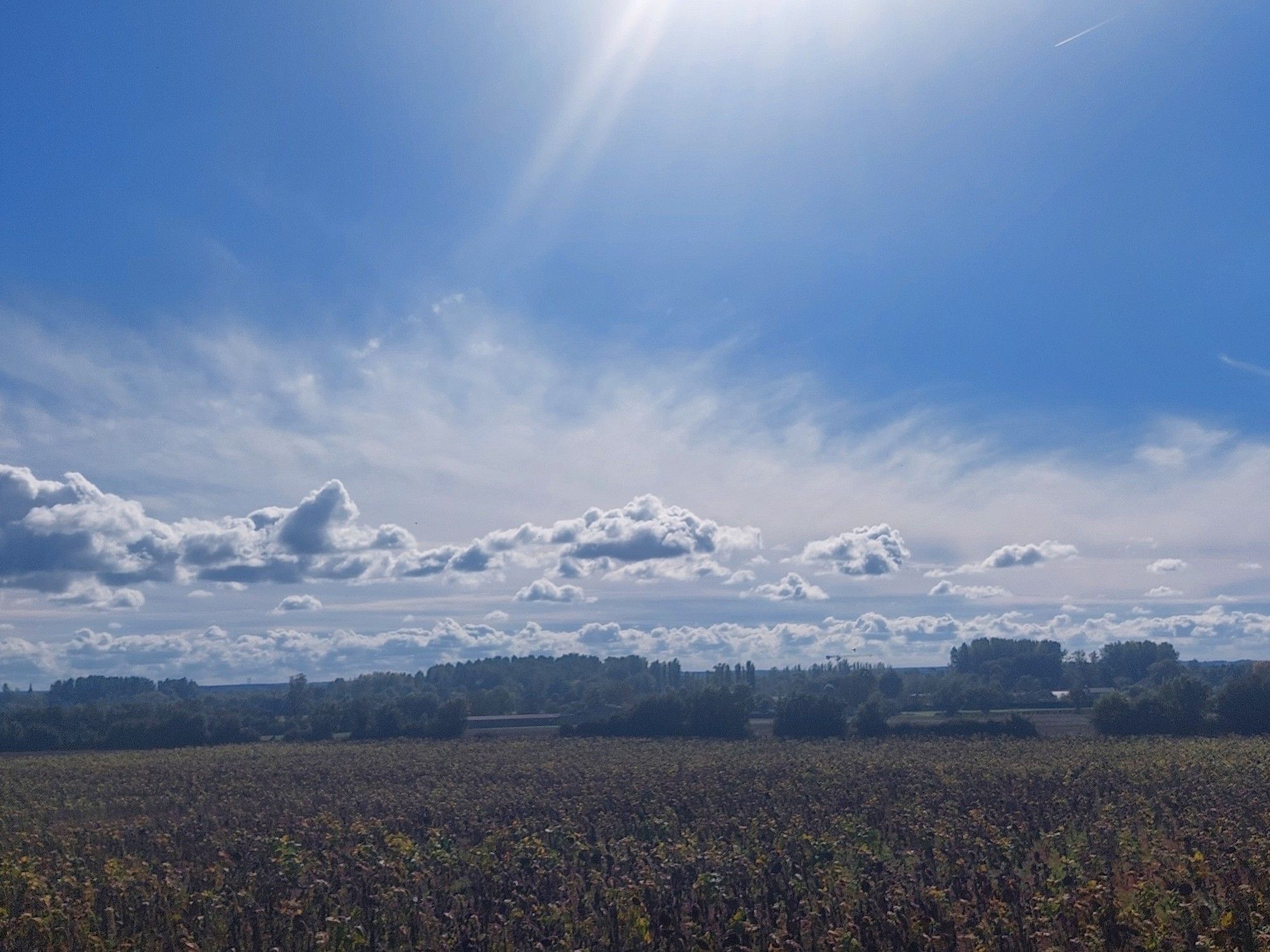 Un ciel magnifique un peu de nuages mais enfin de la lumière et du bleu...