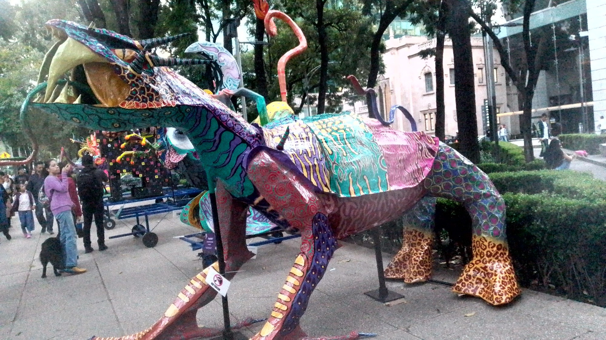 Alebrije
Este me gustó mucho a mi pero a mi papá no