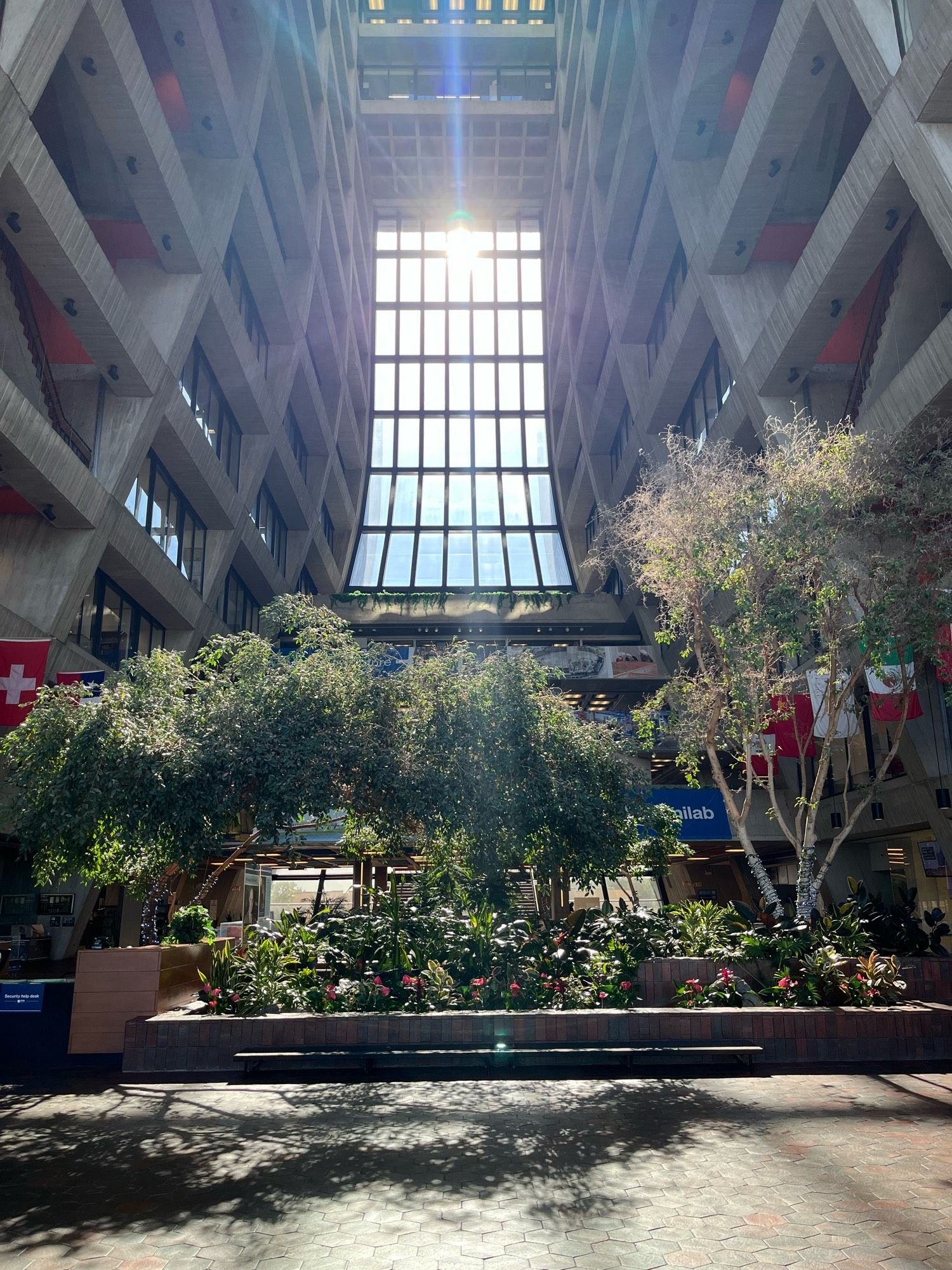 Interior of a 15-story high rise: floor to ceiling atrium. Sun coming in through a wall of windows at the rear. Walls swoop inward as they get higher. Trees and plants in the center of the atrium. Office windows line the walls facing in