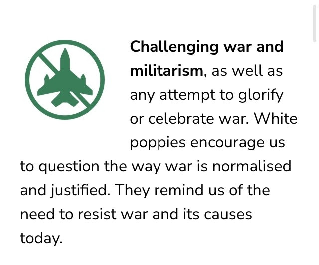 A green icon of a fighter jet, crossed out inside a circle. Challenging war and militarism, as well as any attempt to glorify or celebrate war. White poppies encourage us to question the way war is normalised and justified. They remind us of the need to resist war and its causes today.