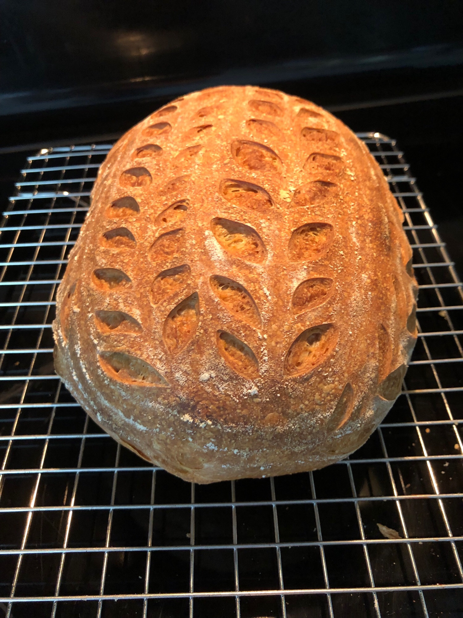 Sourdough, whey boule with score marks that almost look like stalk leaves, but only if you squirt.