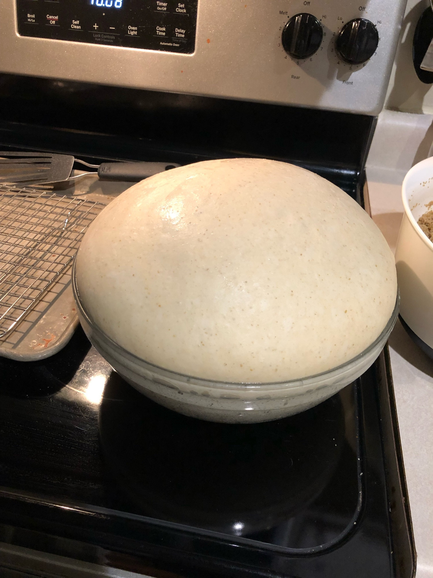 Poppyseed roll dough, puffy at peak of first rise.