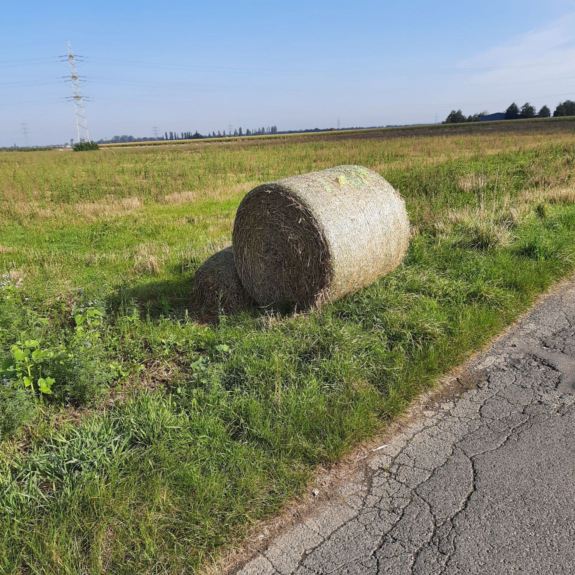 A large round bale of hay sits on the edge of a grassy field, partially obscured by a smaller bale. The hay is a light brown color, and the grass is a lush green. A paved road runs along the edge of the field, and a power line tower can be seen in the distance. The sky is a clear blue, and the sun is shining brightly.  The scene is a tranquil one, with a sense of peace and quiet. The hay bales are a reminder of the hard work of farmers, and the road symbolizes the connection between rural and urban areas. The image captures a moment of beauty and simplicity in the countryside.