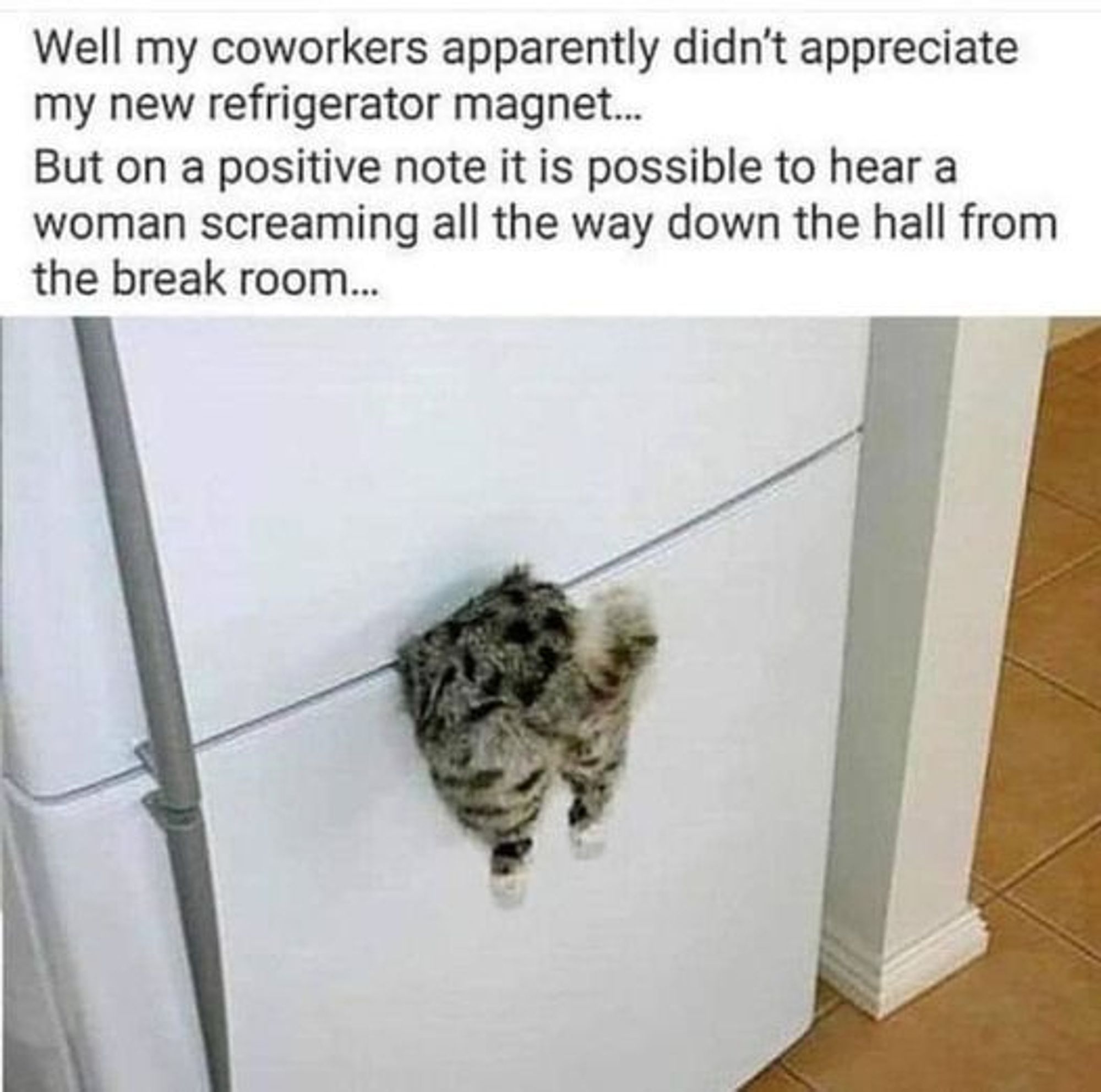 The image shows a cat hanging from a refrigerator door. The caption above the image reads: "Well my coworkers apparently didn't appreciate my new refrigerator magnet... But on a positive note it is possible to hear a woman screaming all the way down the hall from the break room..." The image is humorous and suggests that the cat is the "refrigerator magnet" and that the owner's coworkers are likely not amused. The image is also a bit relatable for cat owners, as many have experienced their cats getting into mischief. The overall tone of the image is lighthearted and amusing.