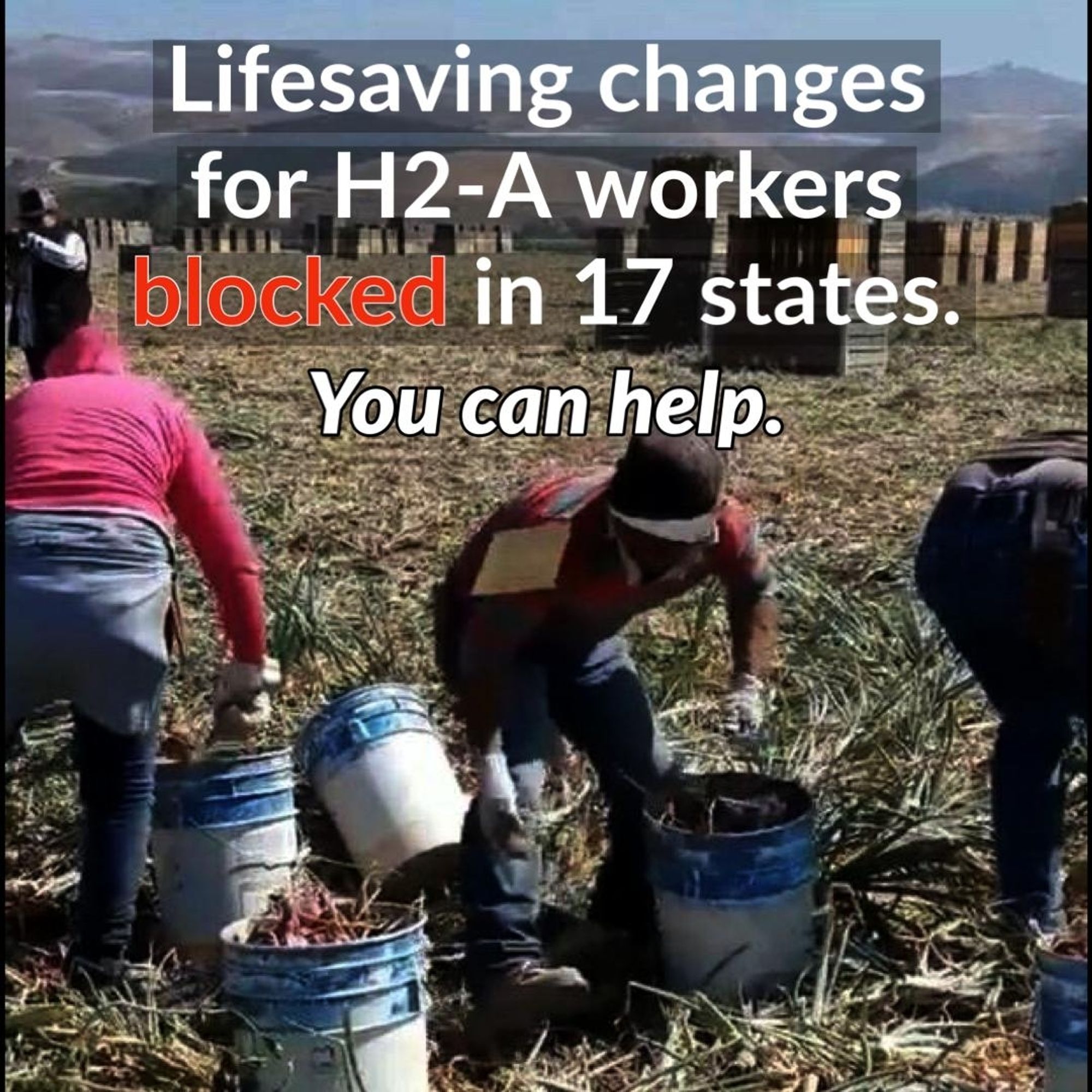 A photo of farm workers in an onion field with the text overlay saying: Life-saving changes for h2a workers blocked in 17 states. You can help.