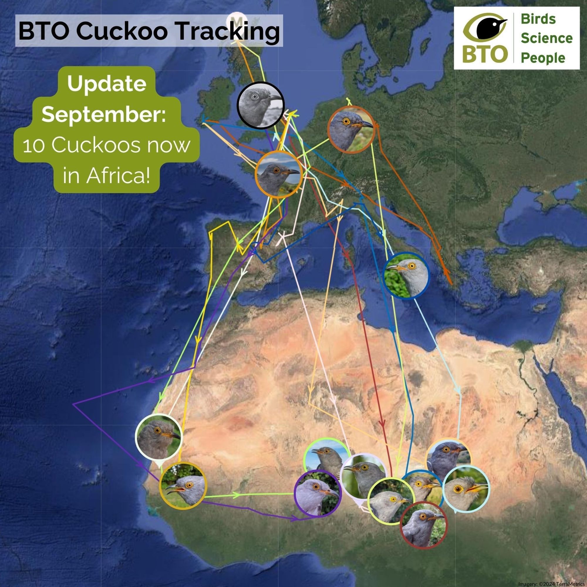 Map of the locations of BTO tagged Cuckoos with the wording. BTO Cuckoo Tracking. Update September: 10 Cuckoos now in Africa!