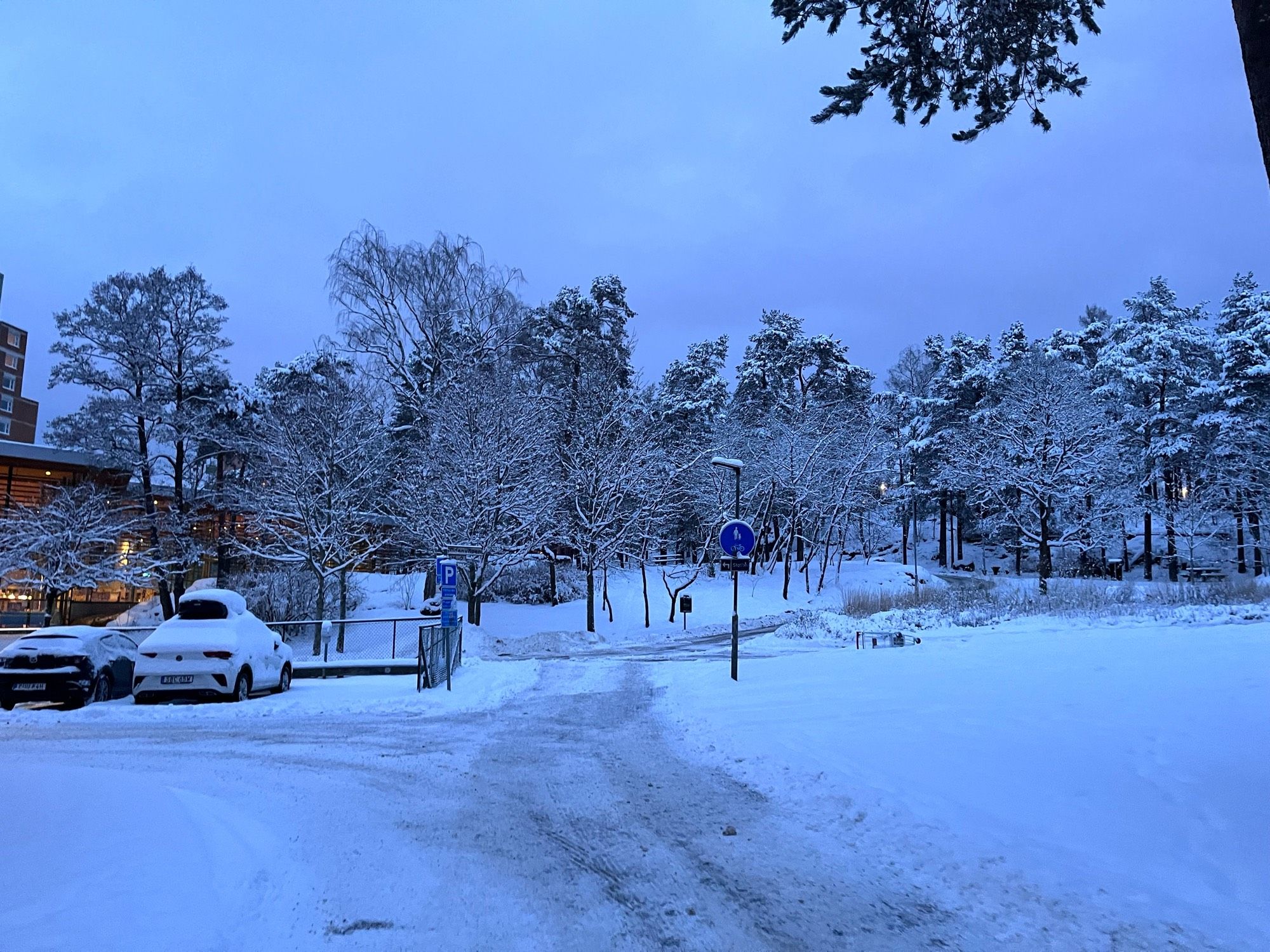 Snowy Stockholm