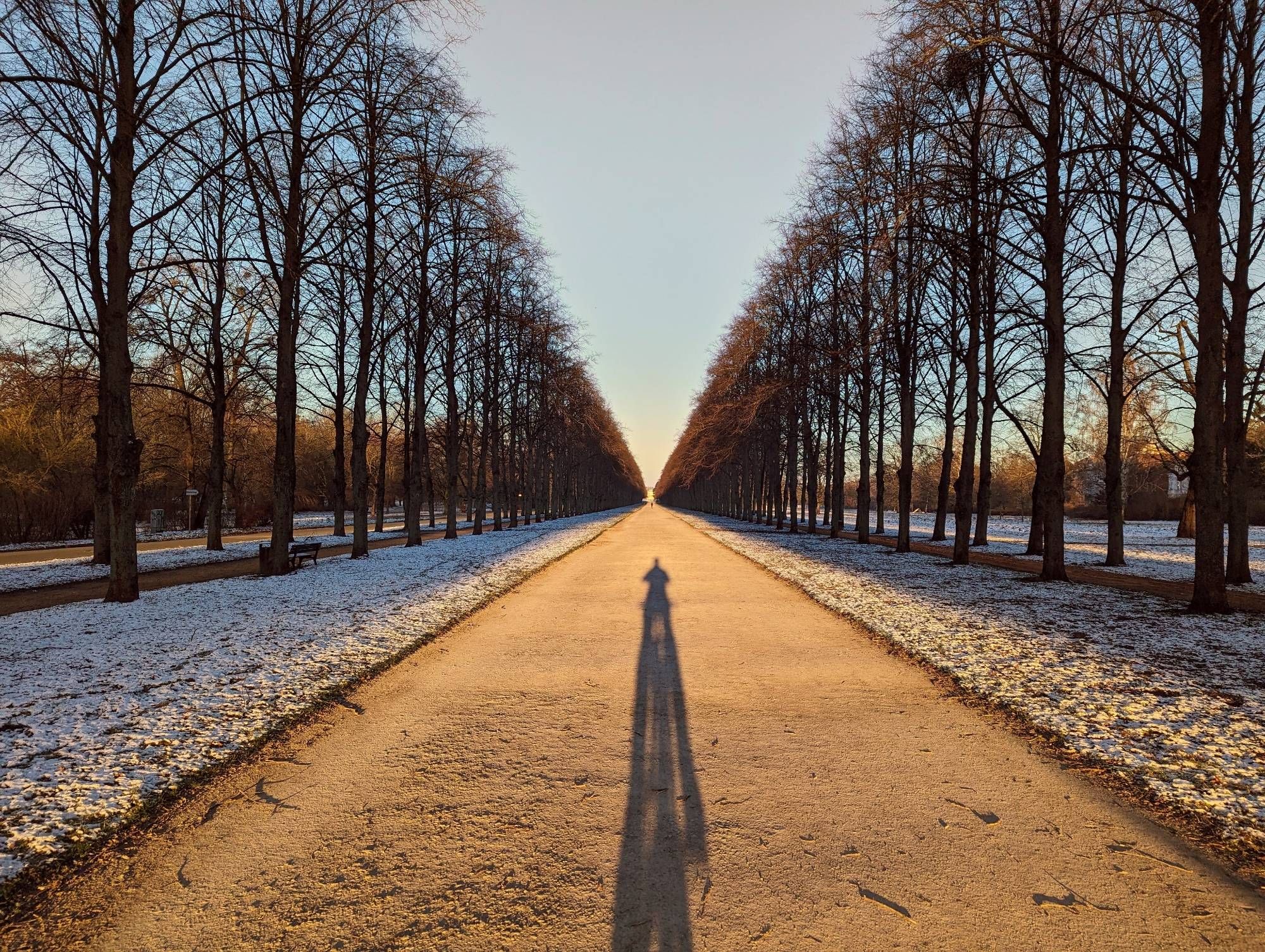 Alle in den Herrenhäuser Gärten mit tief stehender Wintersonne im Rücken