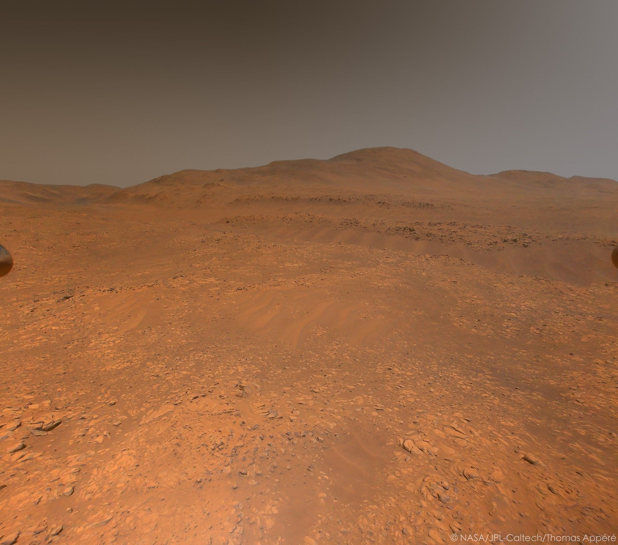 La surface de Mars, ocre, constitue les 2/3 inférieurs de cette image. Le ciel, dont une partie a été étendu en post-traitement, est de couleur brune tendant vers le gris à droite de l'image. La vallée Neretva incise à gauche de l'image le rempart du cratère Jezero qui s'élève à l'horizon. Des dunes sont présentes par endroit. De part et d'autre de l'image, on distingue 2 pieds de l'hélicoptère Ingenuity.