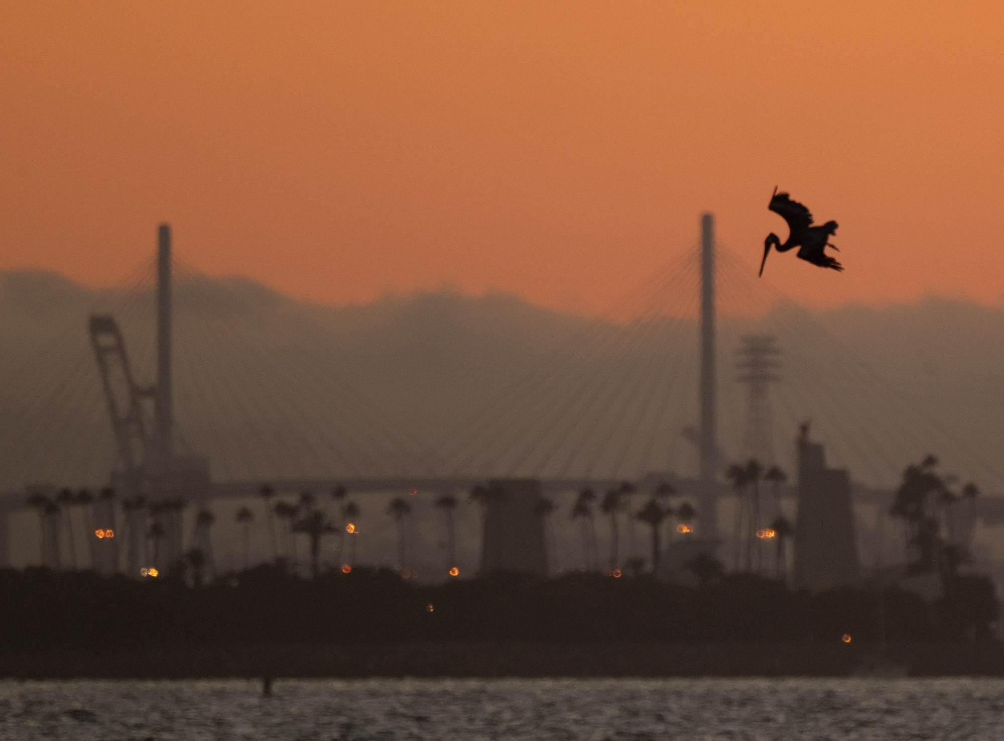 A pelican begins to dive with a fake oil Island and a bridge behind it the sky is a mute Orange 