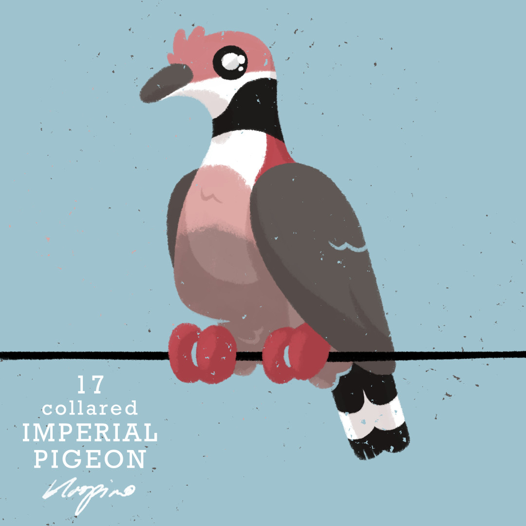 Digital illustration of a bottle-shaped white, burgandy and grey pigeon sitting tall on a wire