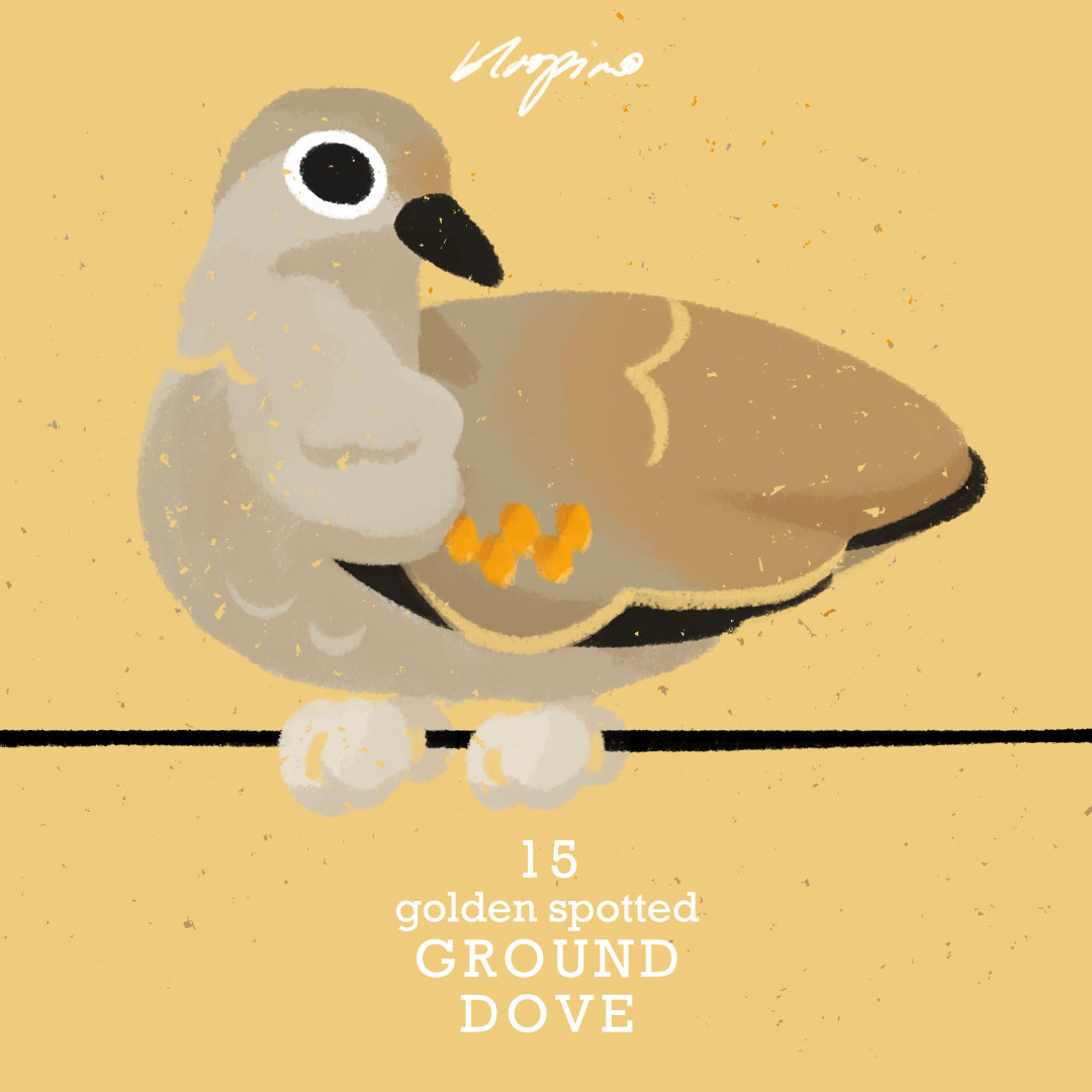 Digital illustration of a dusty brown dove sitting on a wire with small golden spots on the upper part of its wing.