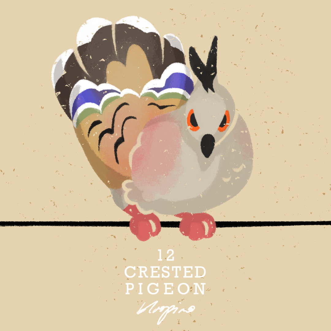 Digital illustration of a grey pigeon on a wire, flaring it's feathers and staring dead on with bright orange angry eyes. Lil pointy mohawk on its head.