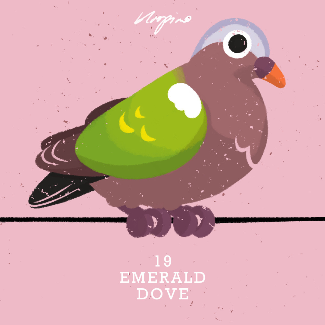 Digital illustration of a brown dove sitting on a wire, orange beaked and white head with bright emerald-green wings.