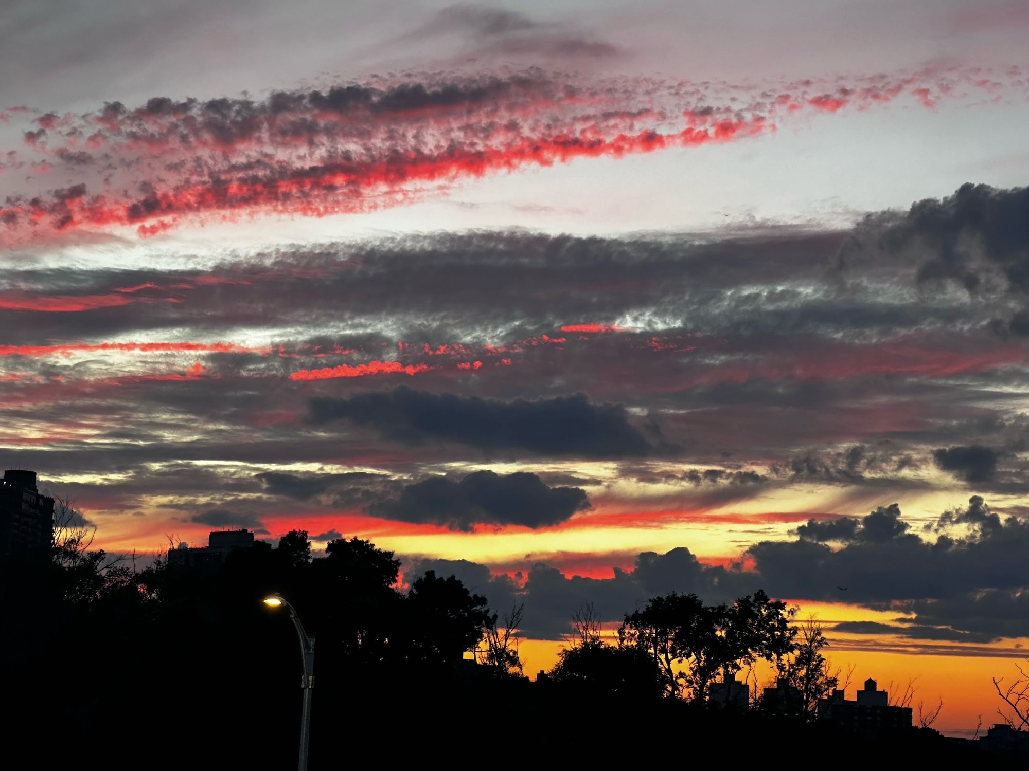 Sunset sky over NYC: Ribbons of red and purple streaked clouds over a silhouetted treescape