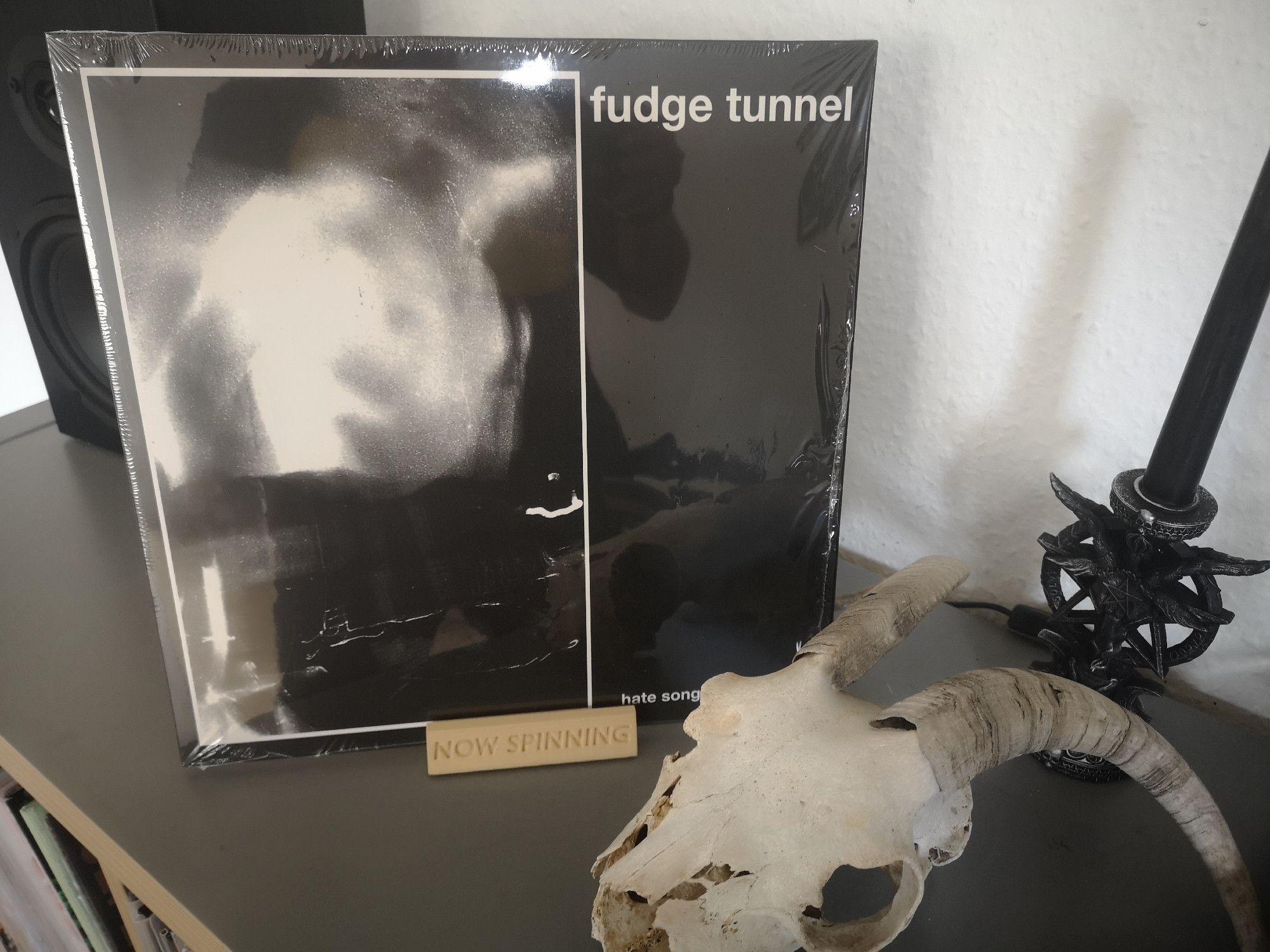 Ein schwarzes LP Cover mit einem weiß gerahmten unscharfen Bild. Man kann nichts erkennen. Daneben steht der Bandname Fudge Tunnel