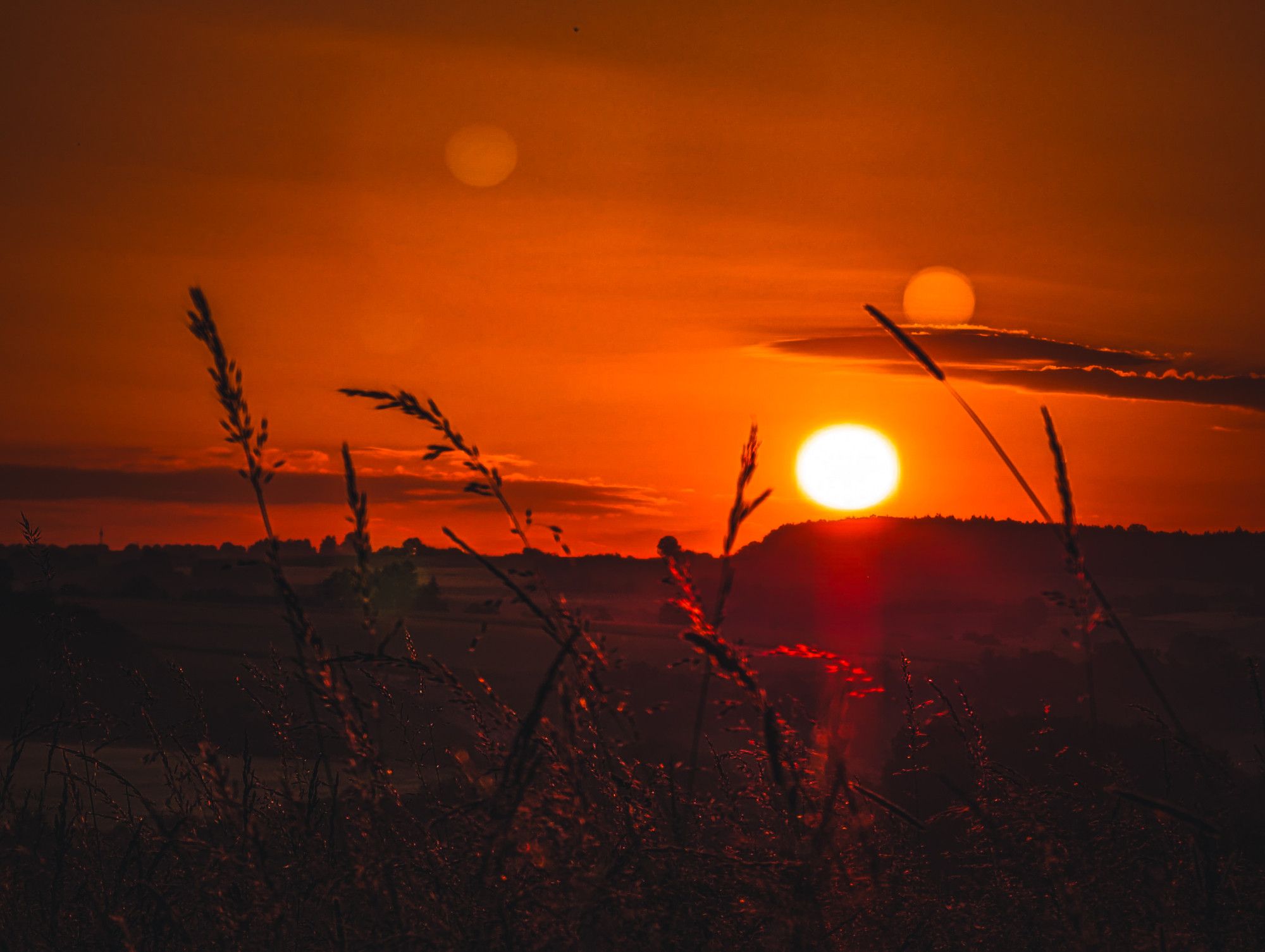 Sonnenaufgang - Die Sonne ist gerade am Horizont erschienen und macht den kompletten Himmel knall orange. Leichte Federwolken sind zu sehen. Im Vordergrund hohes Gras.