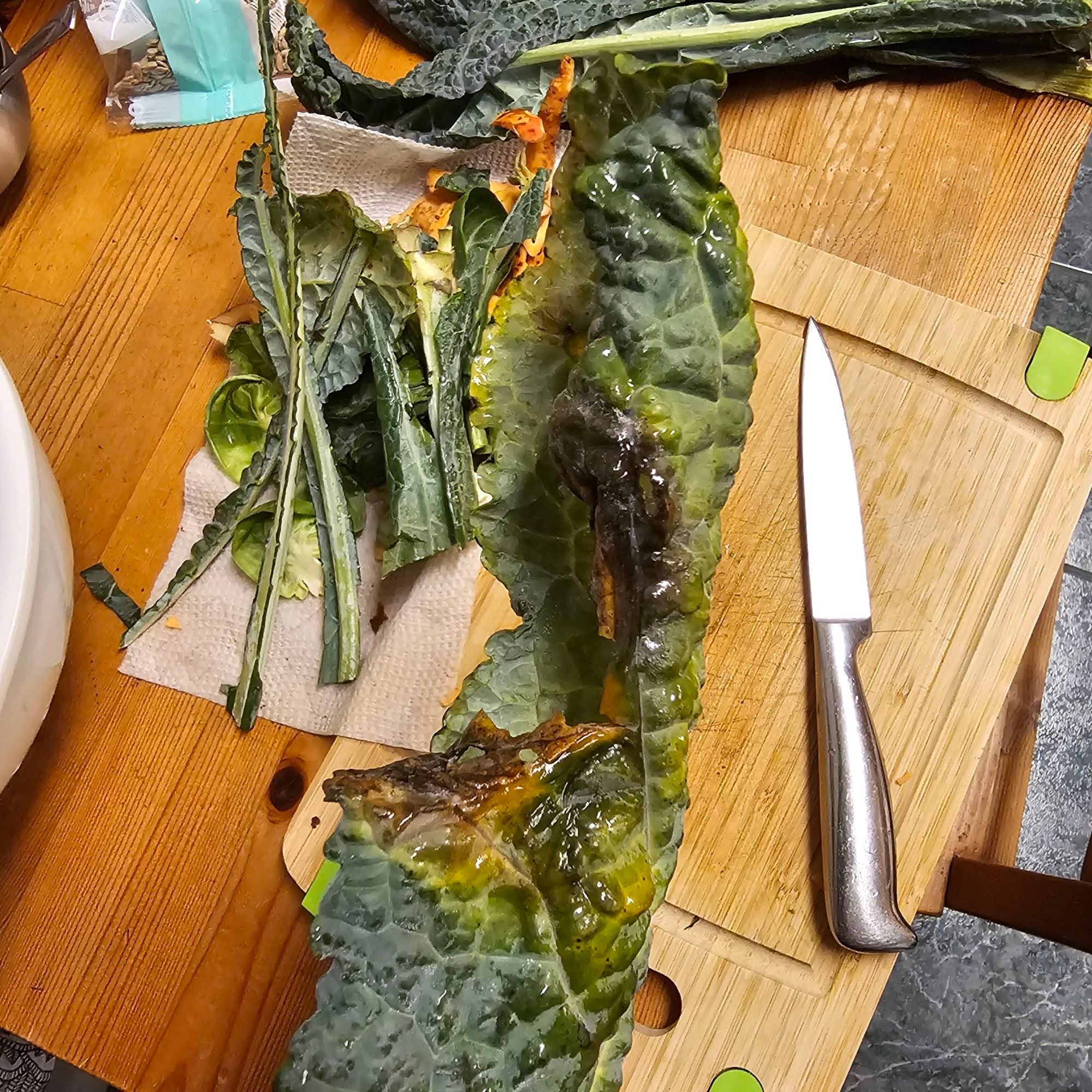 Rotten kale from goodfood