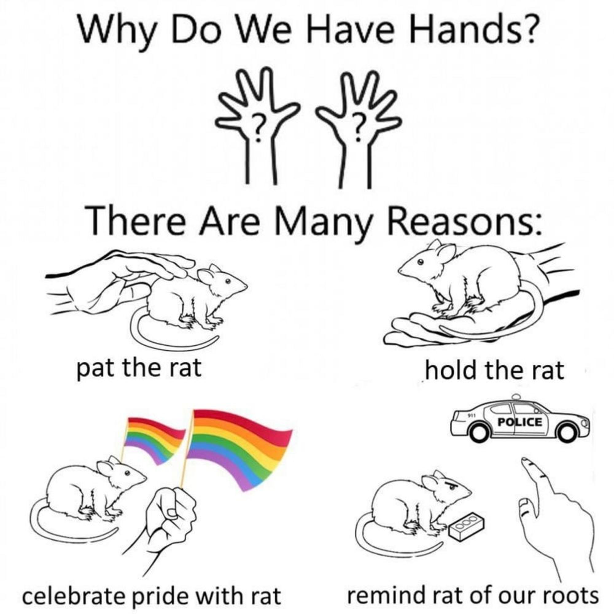 Infographic that asks "Why do we have hands?" with a picture of hands with question marks on their palms. 

The graphic continues, "There are many reasons" and provides four illustrative and illustrated examples.

Pet the rat, with a hand petting a rat.

Hold the rat, with a hand holding a rat.

Celebrate Pride with rat, and both the rat and hand are holding rainbow Pride flags.

Finally, remind rat of our roots, which shows a determined rat with a brick and a hand pointing at a police car.