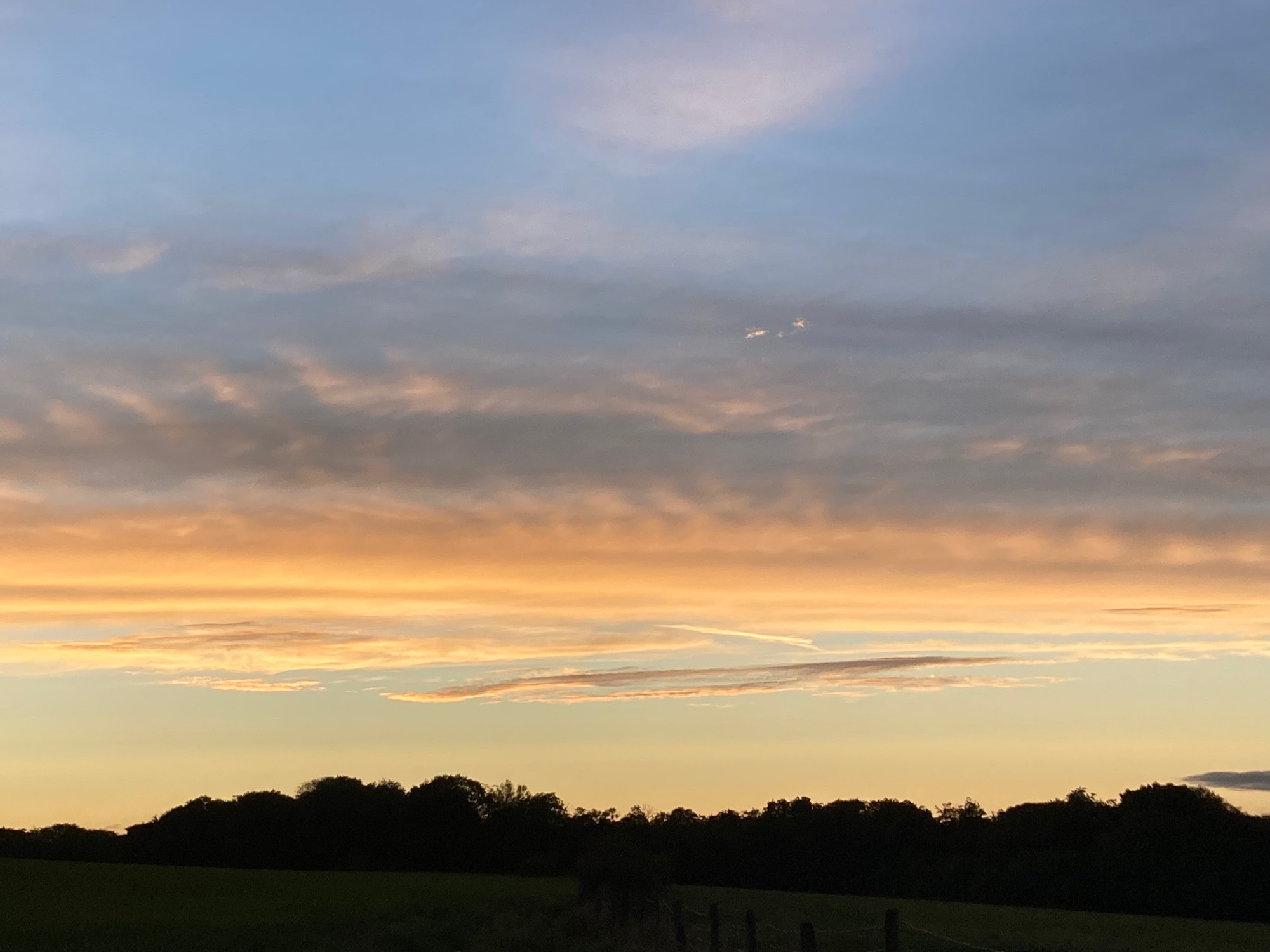 Ciel corail barré par la ligne noire de la forêt à la tombée de la nuit