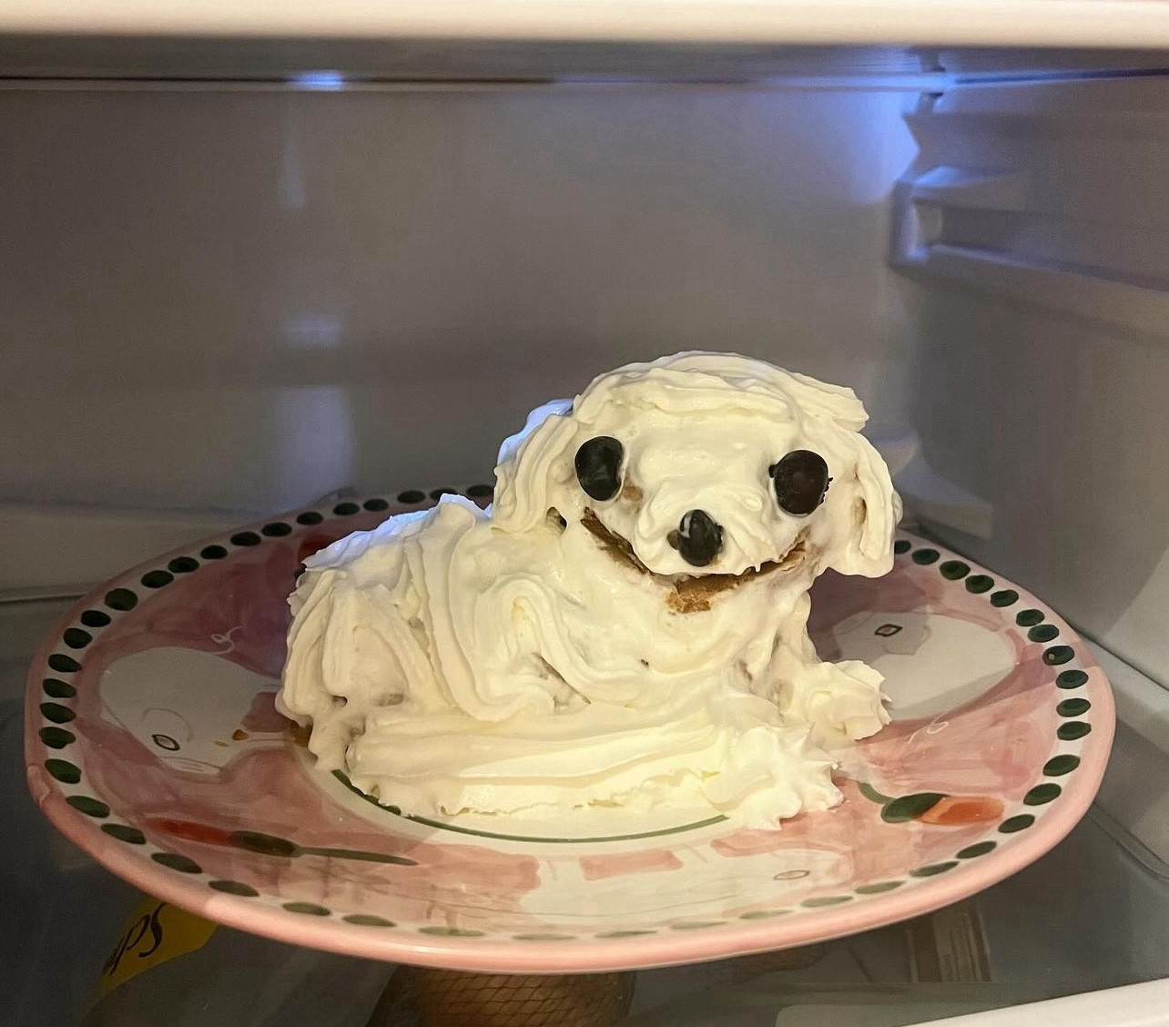 Ein Kuchen? als kleiner weißer Hund? auf einem Teller im Kühlschrank. Sieht schon sehr matschig aus, die Augen sind möglicherweise Trauben. Er guckt auf jeden Fall sehr unsicher.