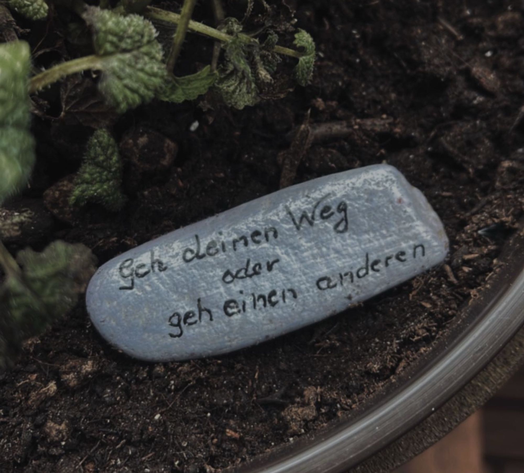 Stein auf dem steht geh deinen Weg oder geh einen anderen