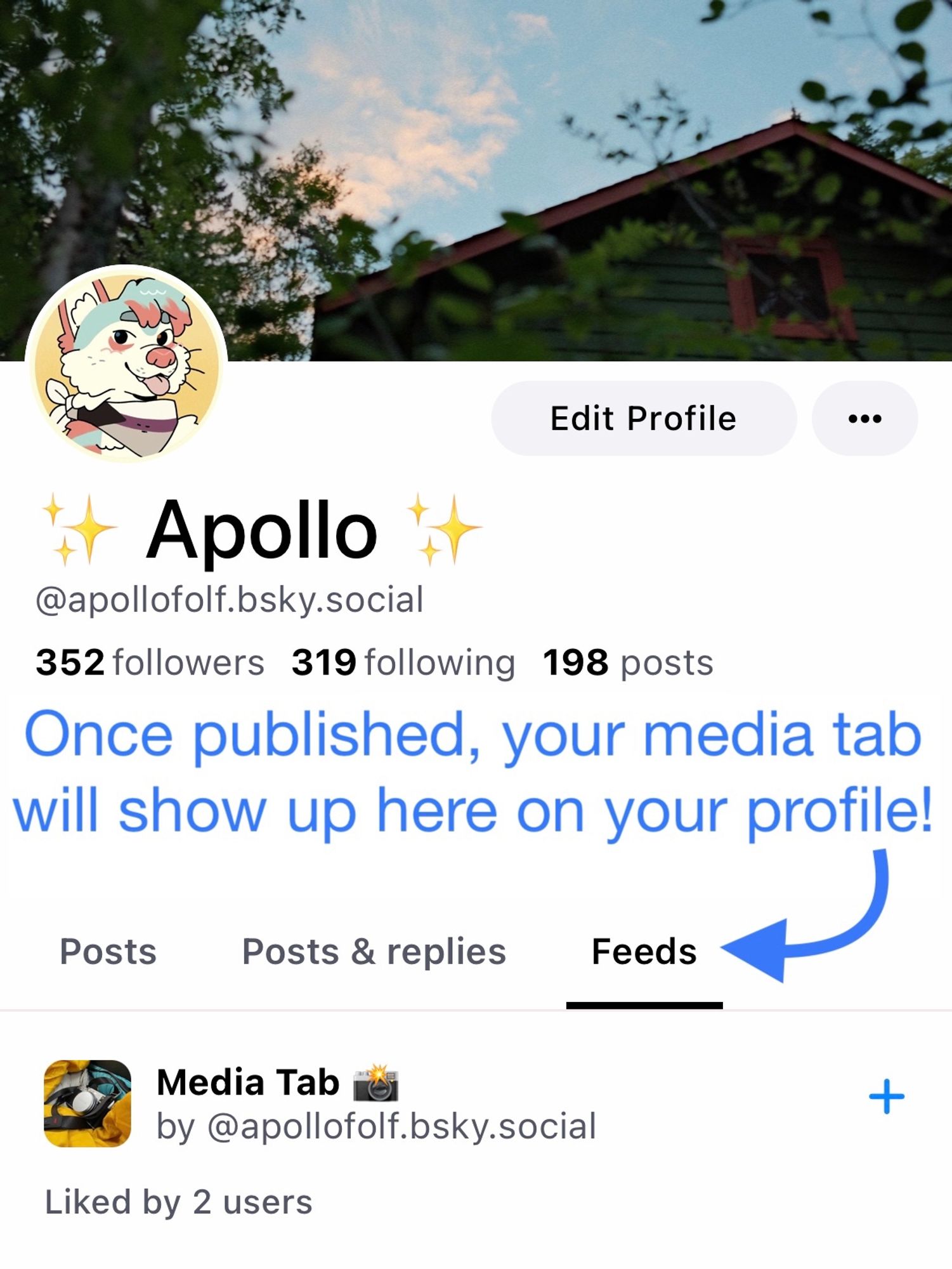 Screenshot showing the new Feeds tab added to your profile, where your media tab will show up
