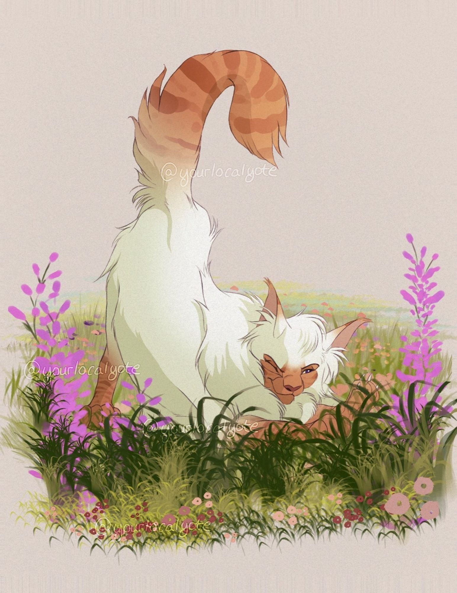 Ginger colorpoint cat character stretching in a field background