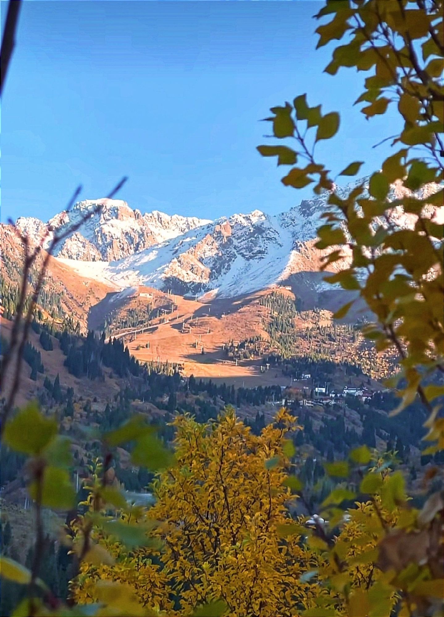 Zweige mit gelben Blättern im Vordergrund. Im Hintergrund sind Berge unter einem blauen Himmel. Tien-Shan-Gebirge, Zailiyskiy Alatau, Kasachstan.