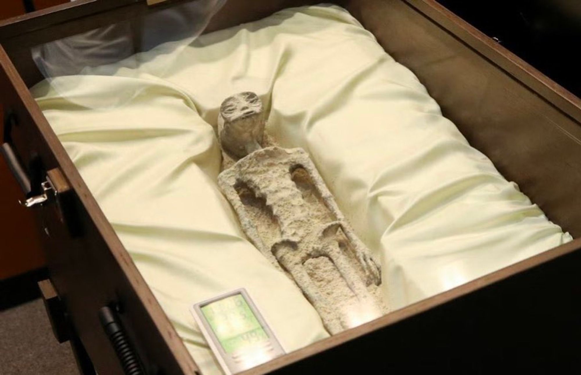 that fake-ass desiccated "alien" corpse that looks like if you found E.T. at Pompeii. resting on a nice white sheet