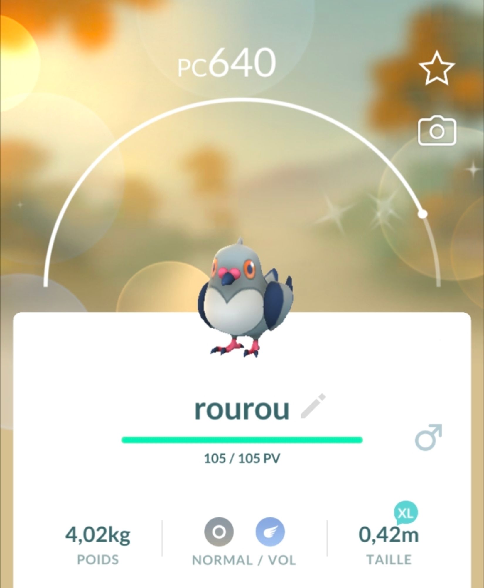 Screenshot from Pokémon Go of the now caught shiny Pidove, named "rourou"