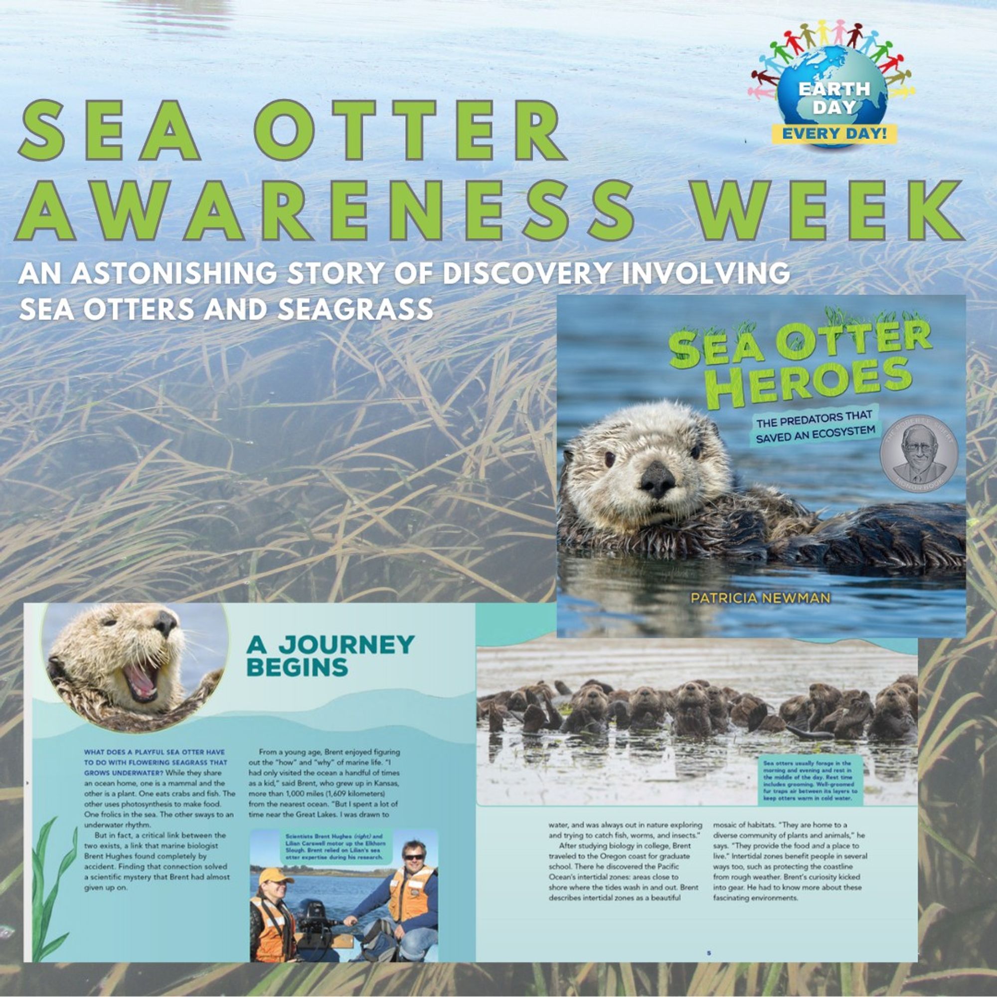 Sea Otter Heroes book cover for Sea Otter Awareness Week