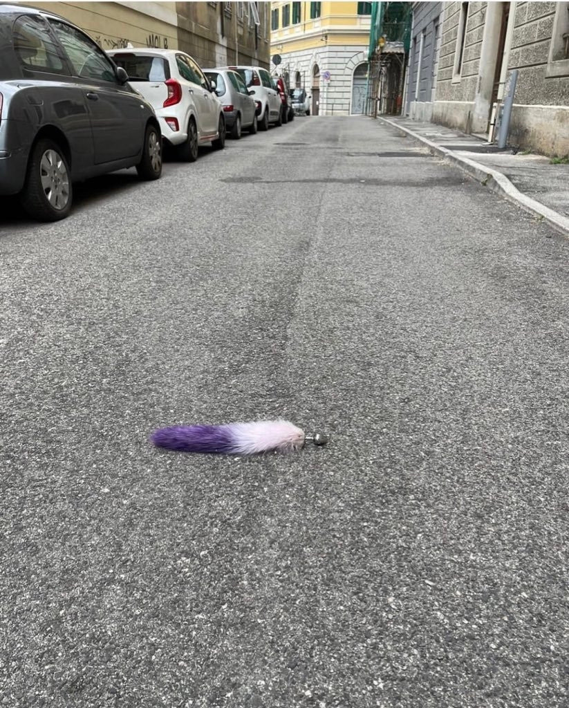 A butt plug tail laying in the middle of the street