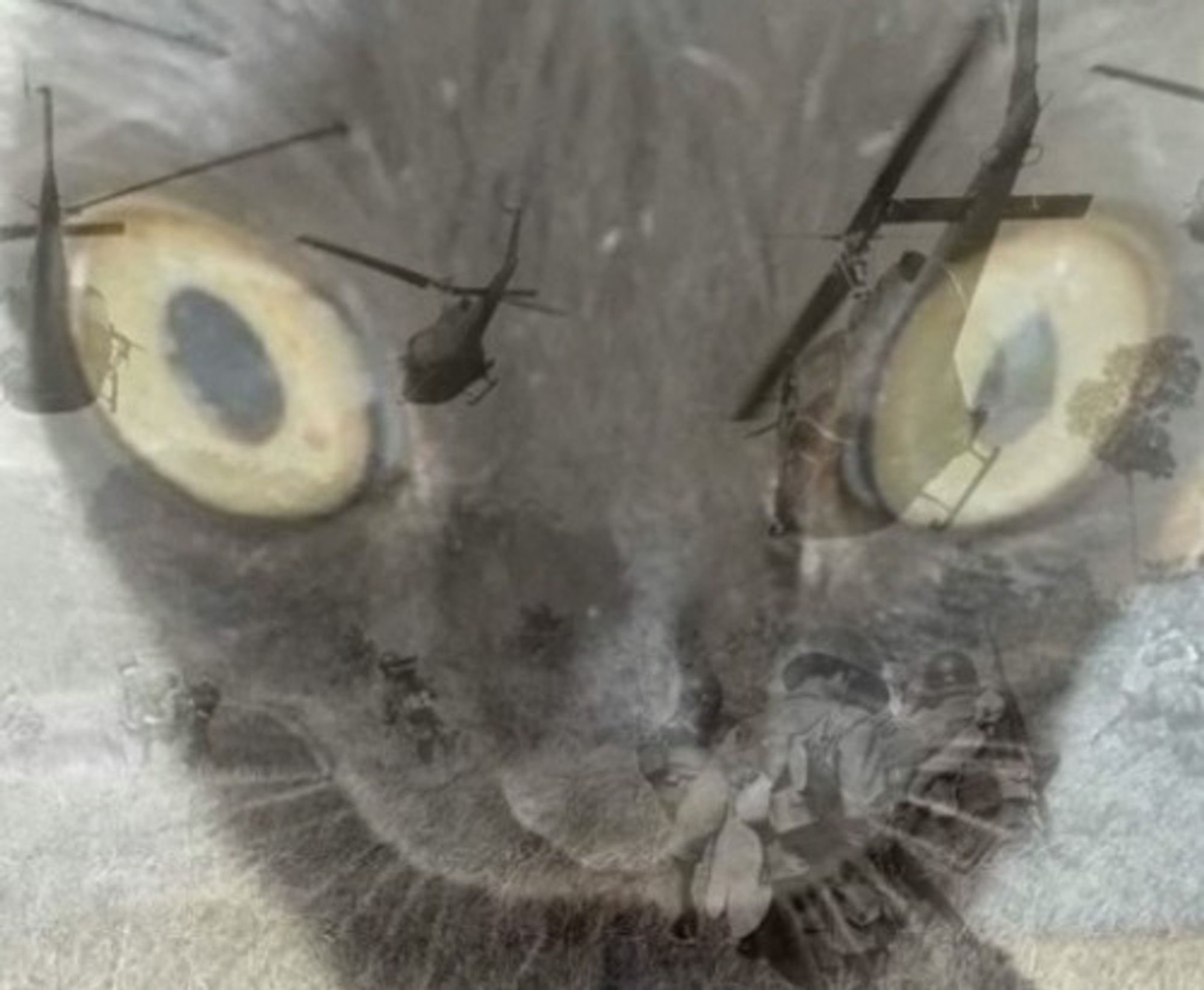 an exaggerated fisheye closeup photo of a black cat's face with wide, staring eyes, with a photo of helicopters flying over soldiers superimposed over it