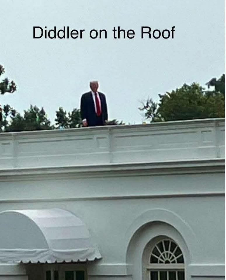 Idiot standing on the roof of the White House with the words "Diddler on the Roof" above him. 