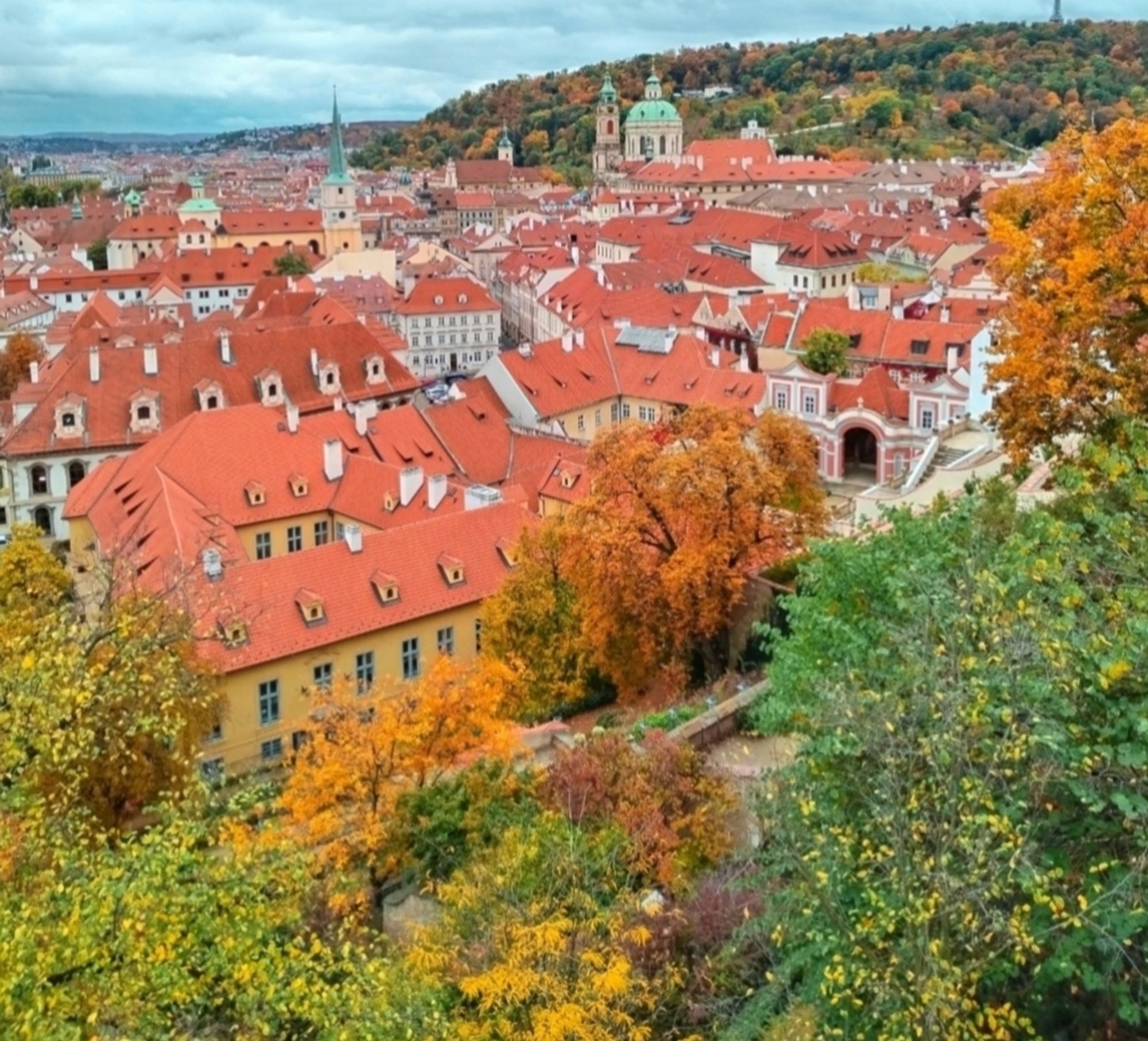 Autumn leaves and rooftops.