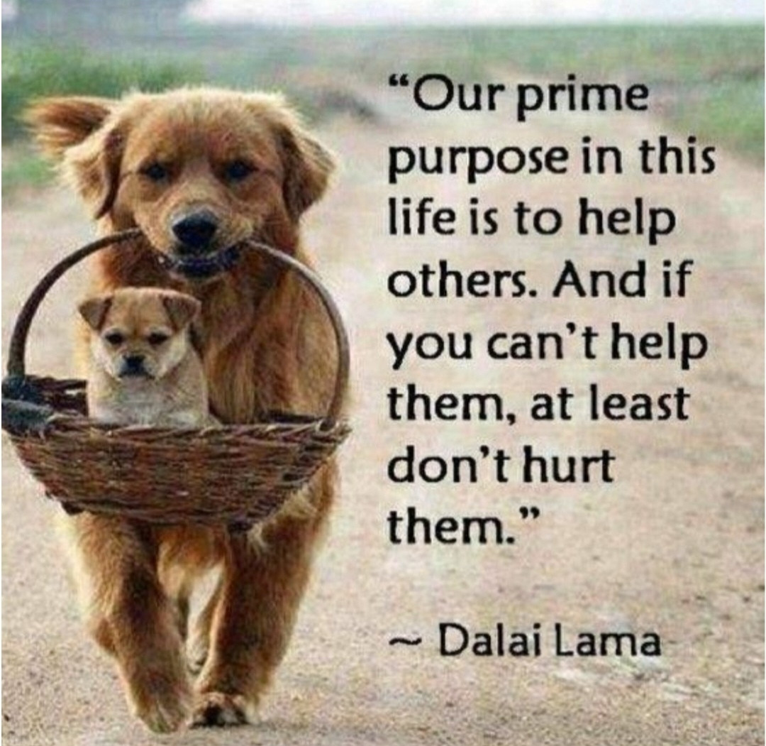 Dalai Lama quote. Helping others. 