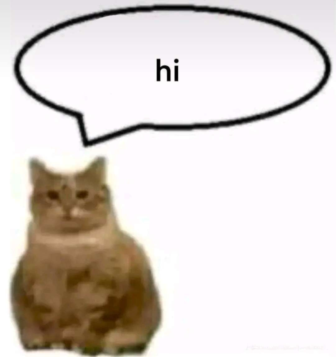 orange cat with text bubble saying hi (also hi this is my first caption ever)