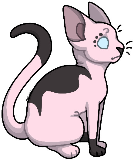 Chibi of my hairless cat character, Alberstein!