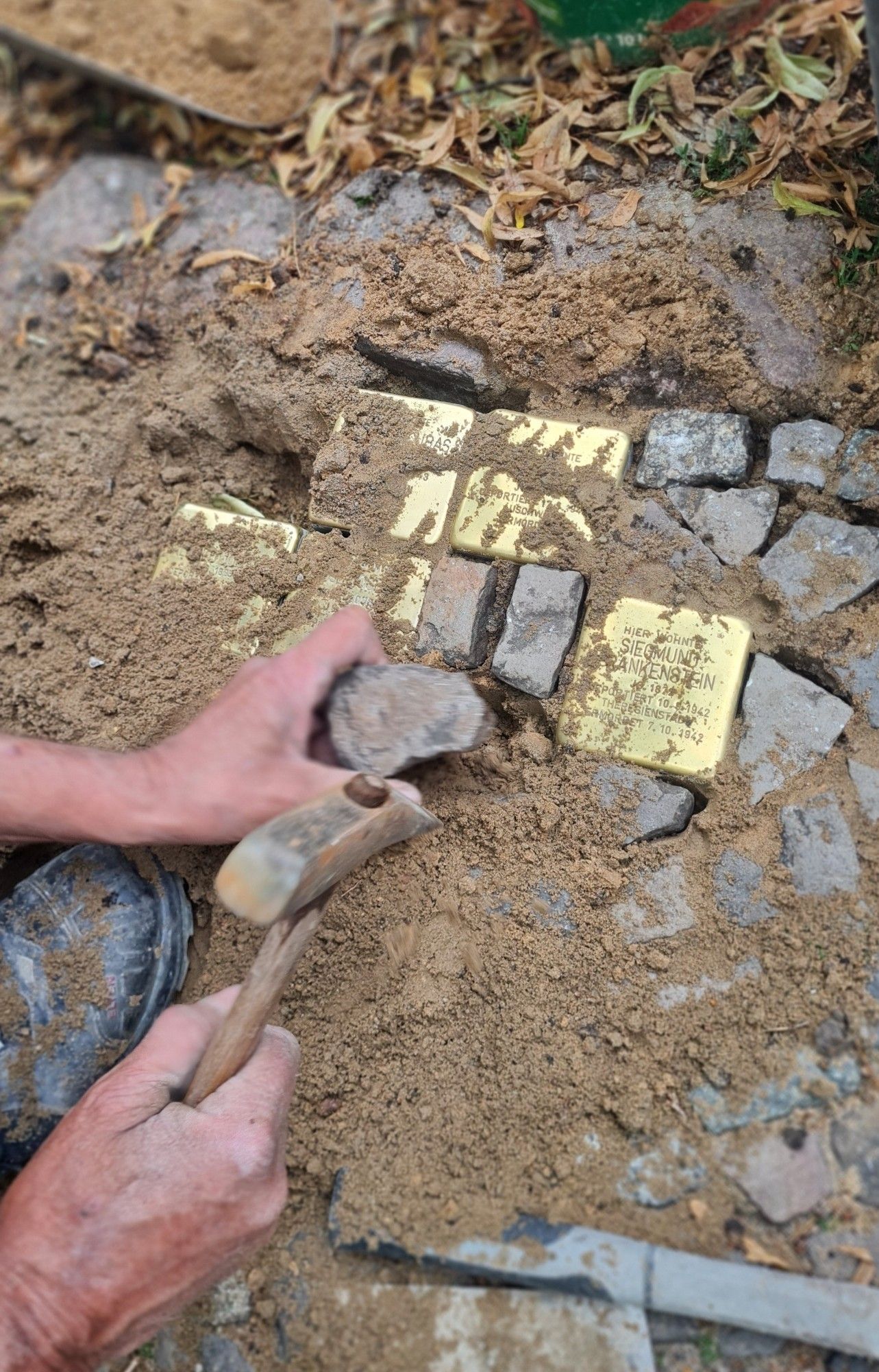 Auf einem Bürgersteig mit kleinem Granitpflaster. Fünf Stolpersteine werden verlegt. Eine Hand hält einen Hammer, die andere einen Pflasterstein. Die neuen Stolpersteine sind von etwas Sand überdeckt.