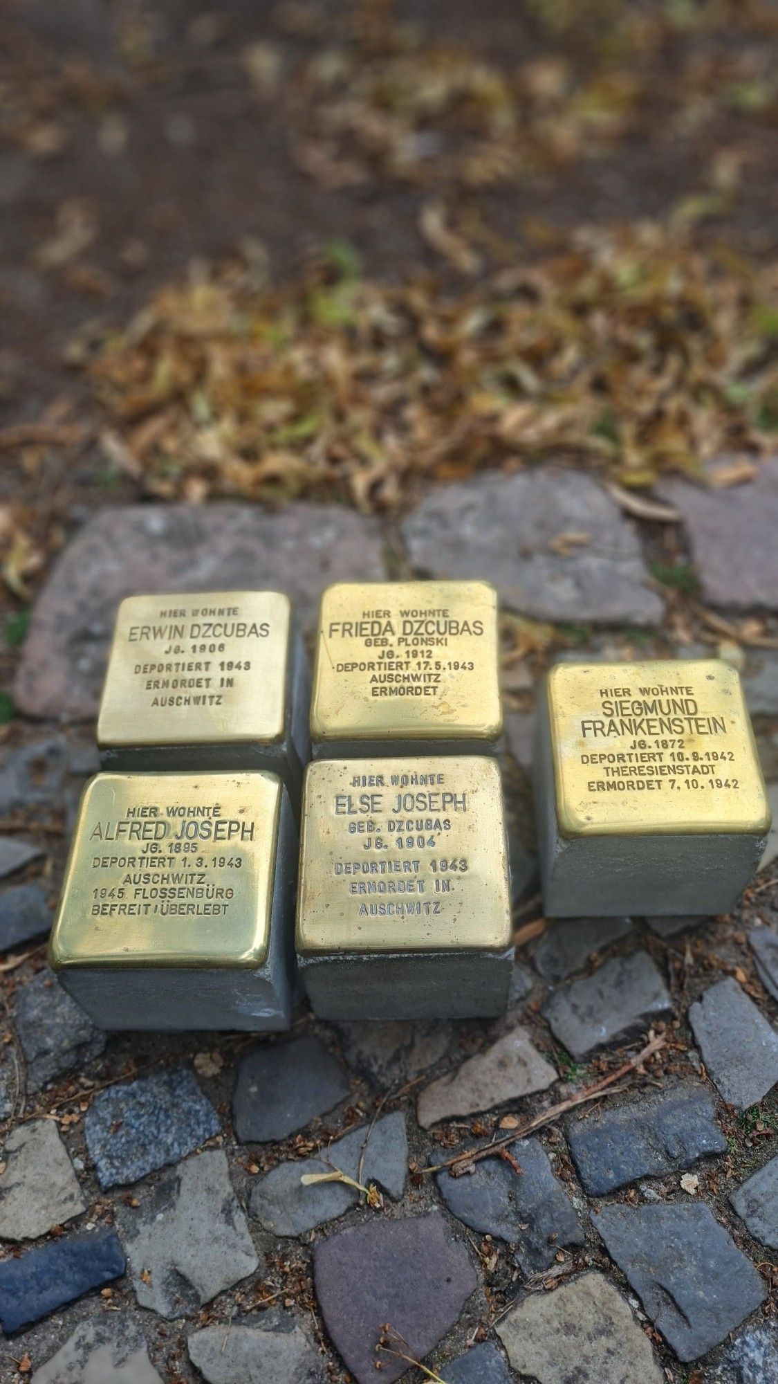 Fünf Stolpersteine kurz vor der Verlegung. Unter den Messingplatten auf der Oberseite, auf denen die Namen, Lebensdaten und das Schicksal eingeprägt sind, befindet sich ein Sockel aus Beton.