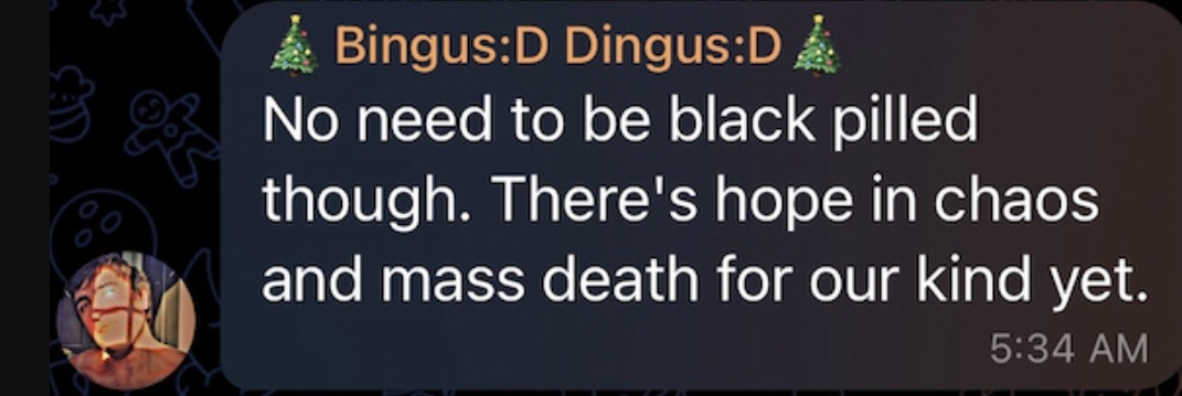 Bingus aka Matthew Cady posting on Telegram that there is hope (for the white race) in a mass death senereo