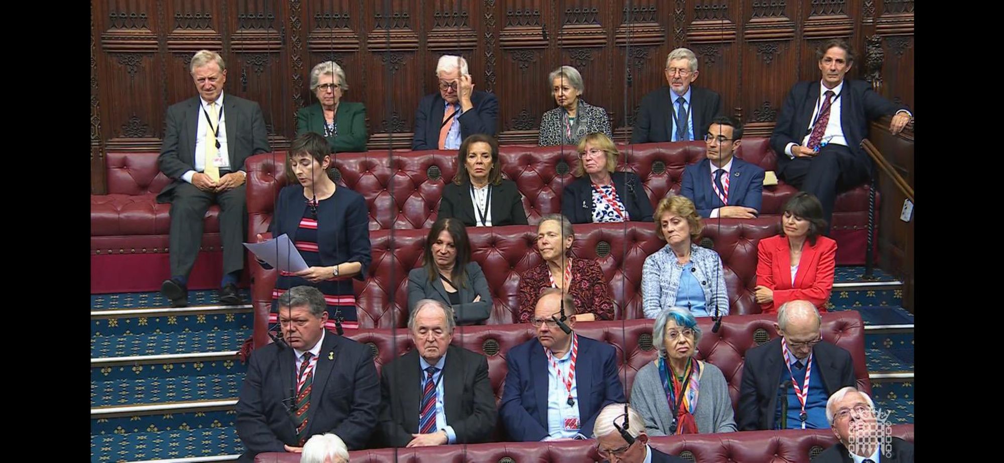 Caroline Pidgeon standing in the House of Lords, delivering a speech, whilst a dozen or so other Lords sit on the benches listening to her speak.