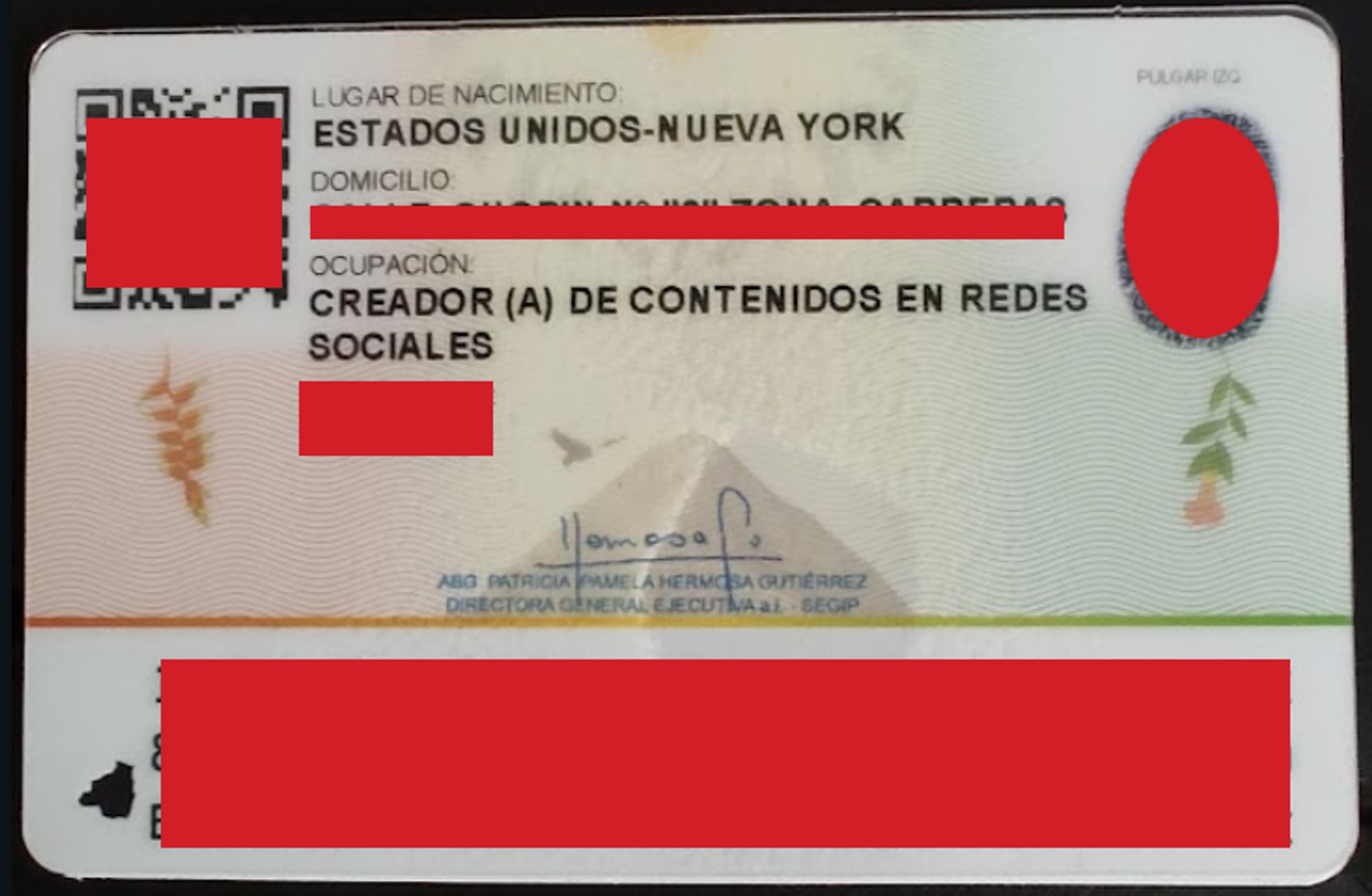 Photo of an ID card with red redactions. 

Lugar de nacimiento: Estados Unidos-Nueva York
Domicilio: RED LINE
Ocupación: Creador(a) de contenidos en redes sociales